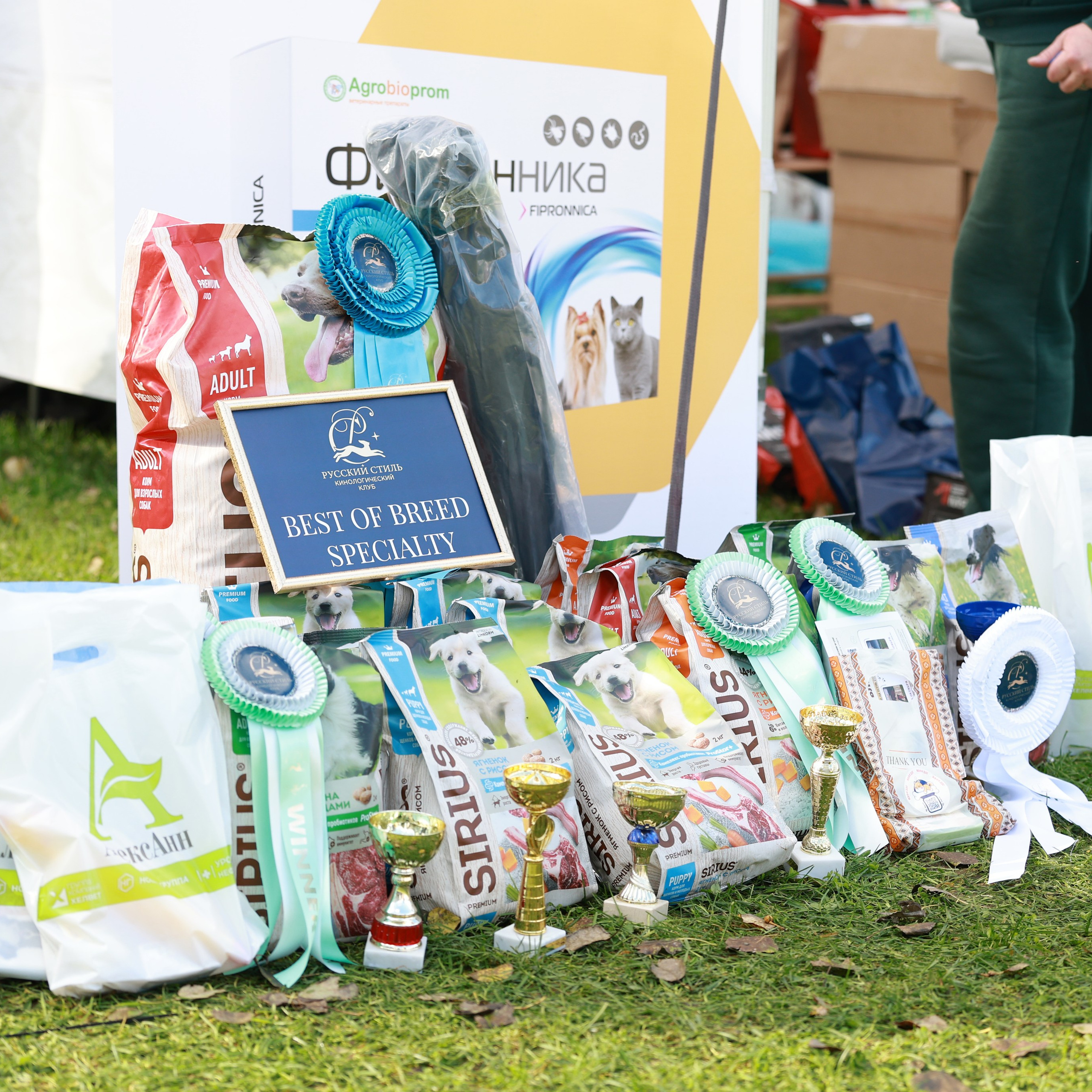 27-28.09.2025 ВЫСТАВКИ СОБАК ВСЕХ ПОРОД (САС, ЧРКФ, ЧФ). Кинологический клуб РКФ РФСС СЕНСАЦИЯ