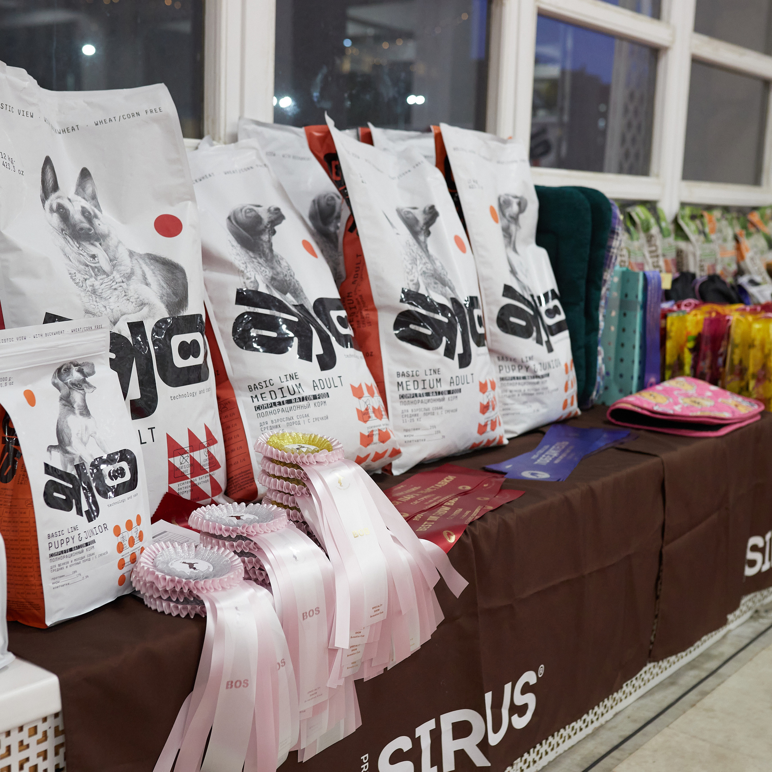 11.02.23 ВЫСТАВКА СОБАК ВСЕХ ПОРОД (CAC, ЧФ) «СЕНСАЦИЯ-2023». Кинологический клуб РКФ РФСС СЕНСАЦИЯ