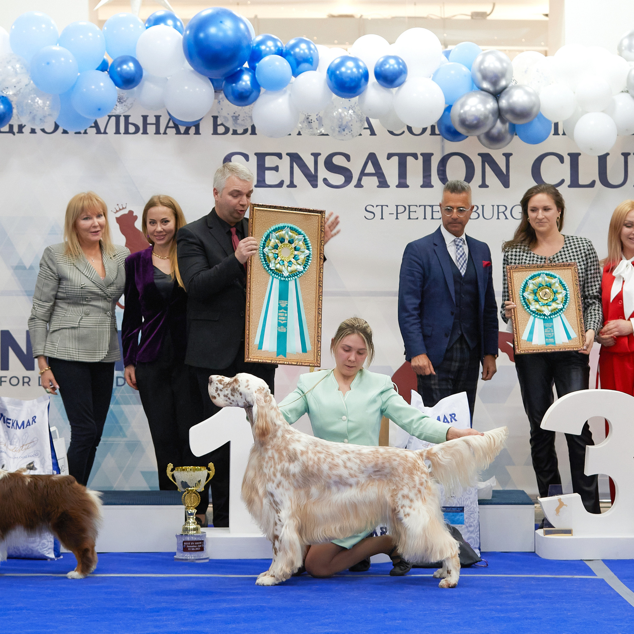 11.02.23 ВЫСТАВКА СОБАК ВСЕХ ПОРОД (CAC, ЧФ) «СЕНСАЦИЯ-2023». Кинологический клуб РКФ РФСС СЕНСАЦИЯ