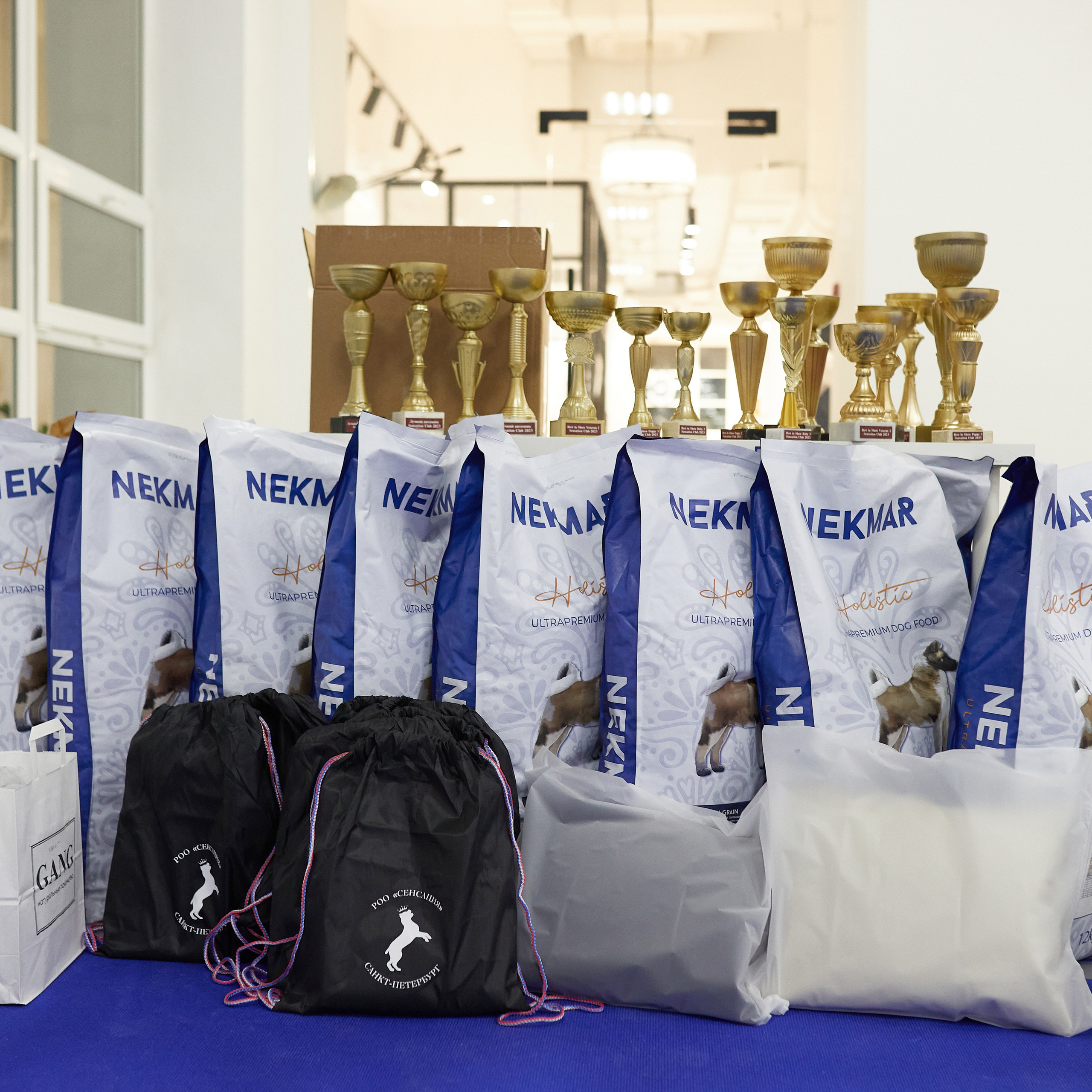 11.02.23 ВЫСТАВКА СОБАК ВСЕХ ПОРОД (CAC, ЧФ) «СЕНСАЦИЯ-2023». Кинологический клуб РКФ РФСС СЕНСАЦИЯ