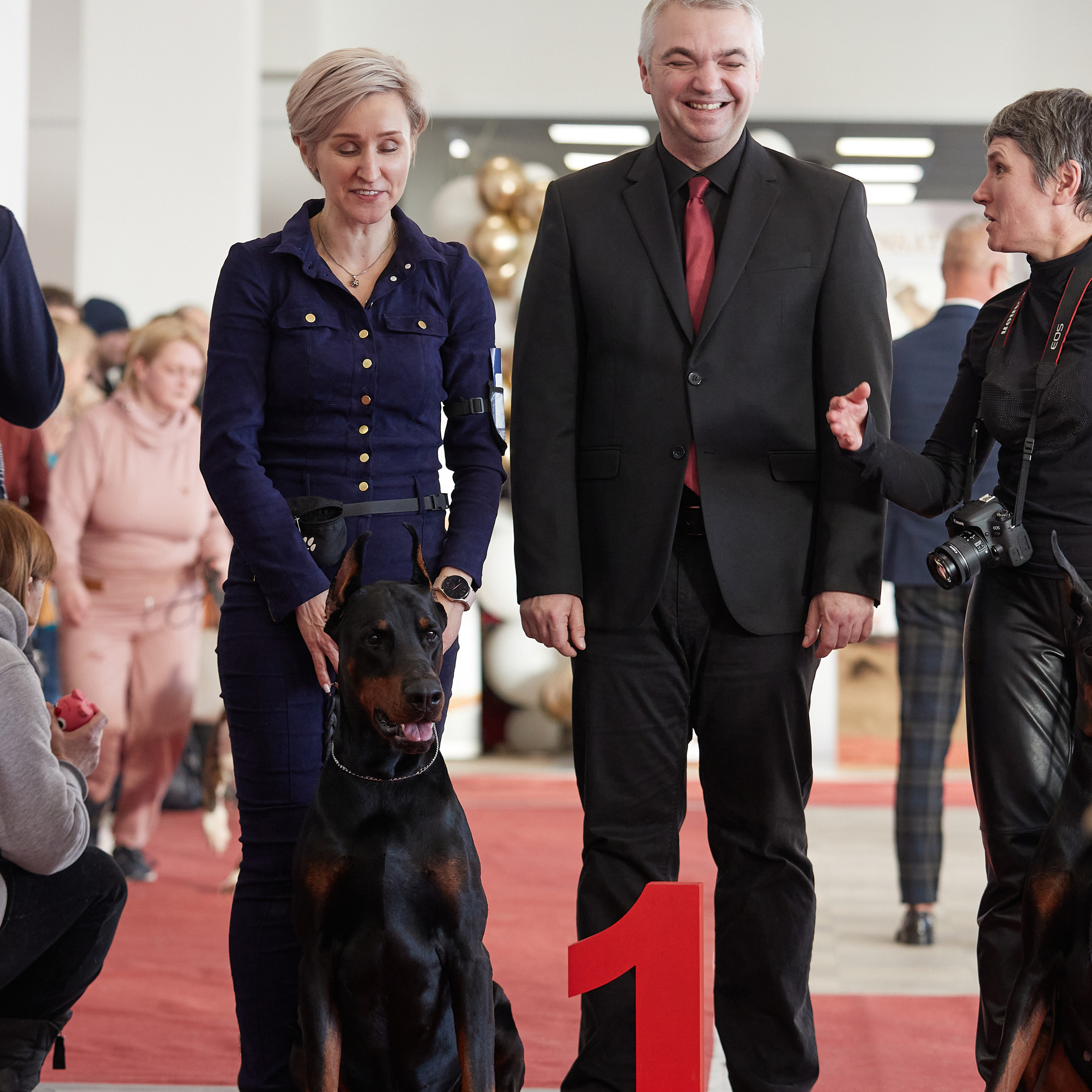 11.02.23 ВЫСТАВКА СОБАК ВСЕХ ПОРОД (CAC, ЧФ) «СЕНСАЦИЯ-2023». Кинологический клуб РКФ РФСС СЕНСАЦИЯ