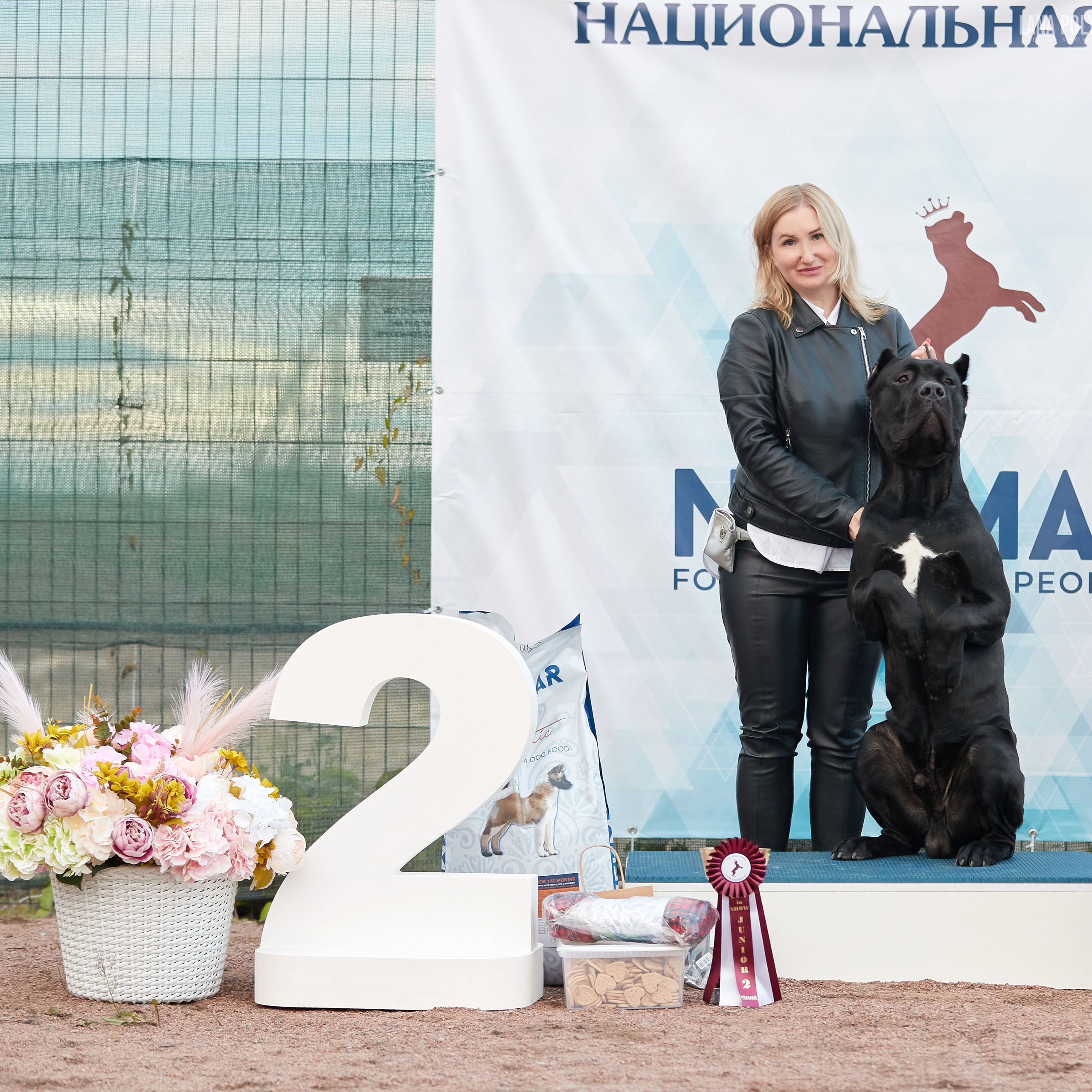 18.09.22 ВЫСТАВКА СОБАК ВСЕХ ПОРОД (CAC, ЧФ) «СЕНСАЦИЯ-2022». Кинологический клуб РКФ РФСС СЕНСАЦИЯ