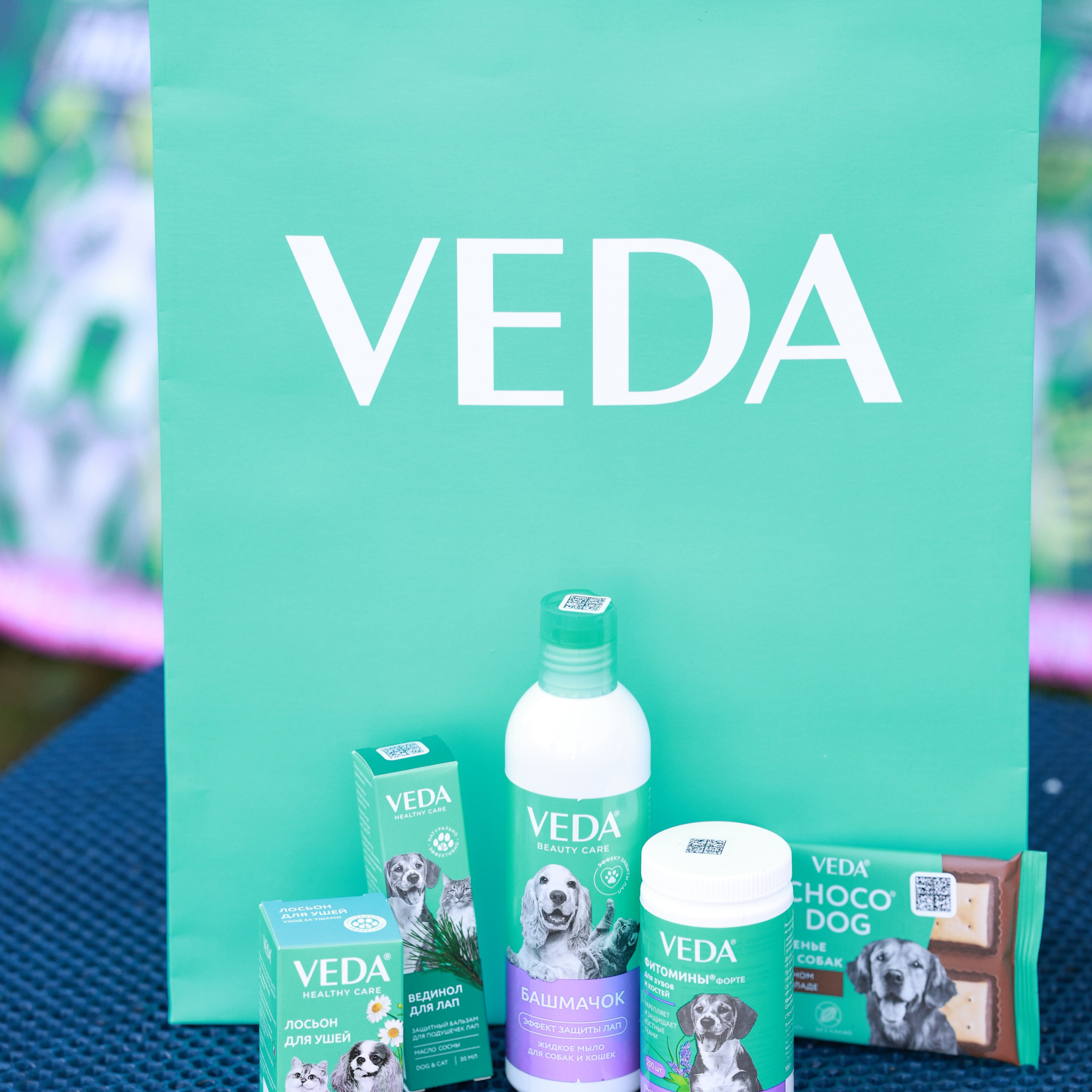 27-28.09.2025 ВЫСТАВКИ СОБАК ВСЕХ ПОРОД (САС, ЧРКФ, ЧФ). Кинологический клуб РКФ РФСС СЕНСАЦИЯ