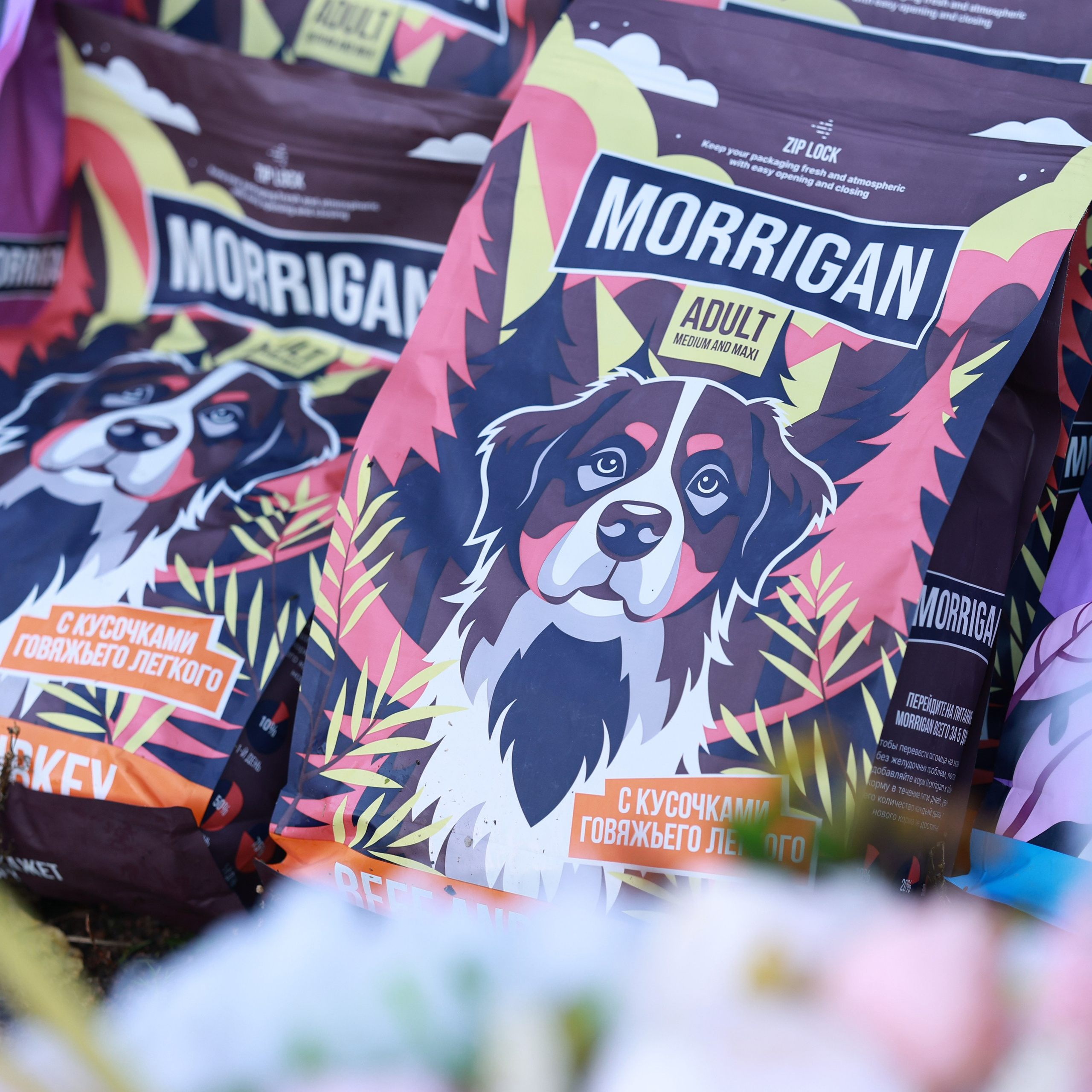 27-28.09.2025 ВЫСТАВКИ СОБАК ВСЕХ ПОРОД (САС, ЧРКФ, ЧФ). Кинологический клуб РКФ РФСС СЕНСАЦИЯ