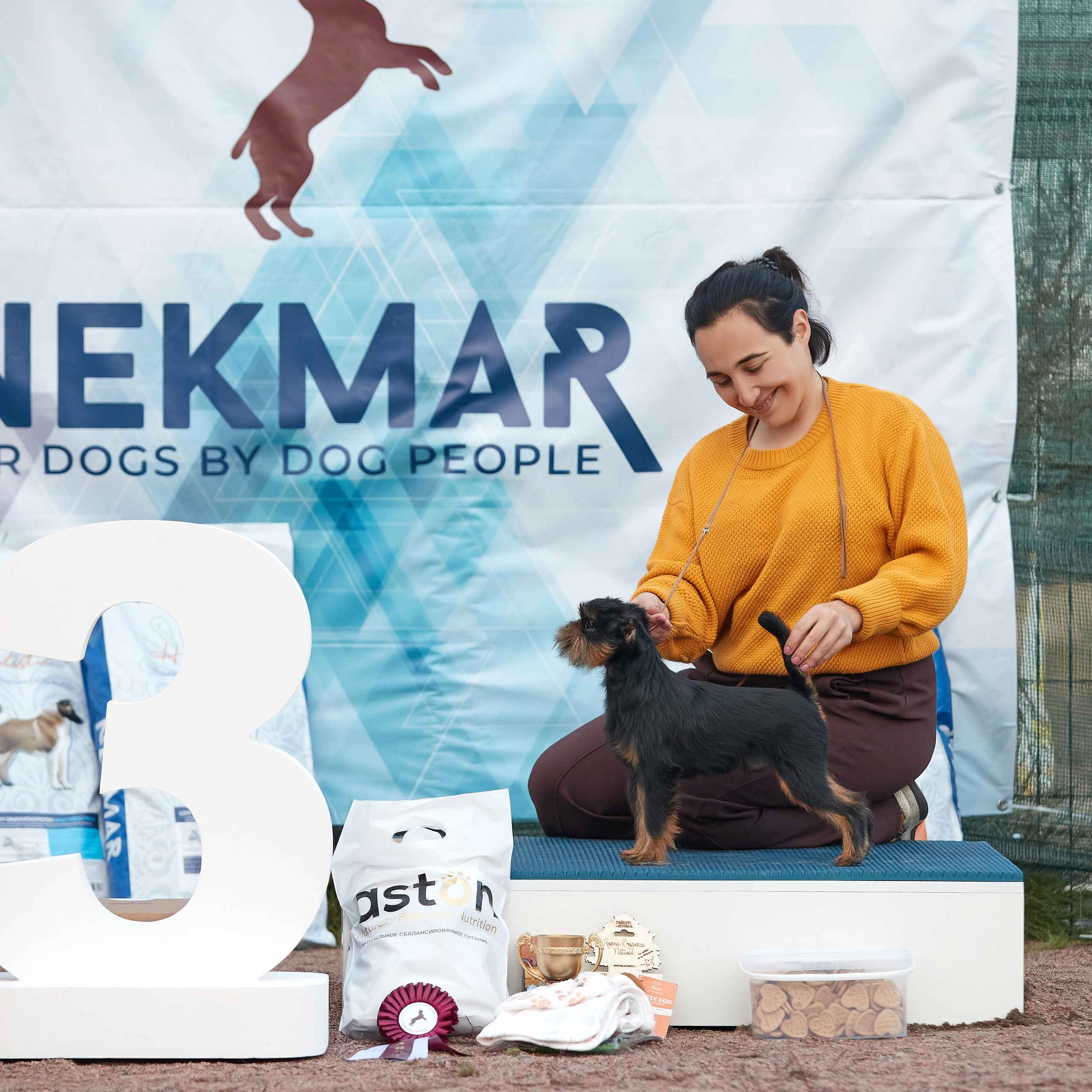 18.09.22 ВЫСТАВКА СОБАК ВСЕХ ПОРОД (CAC, ЧФ) «СЕНСАЦИЯ-2022». Кинологический клуб РКФ РФСС СЕНСАЦИЯ