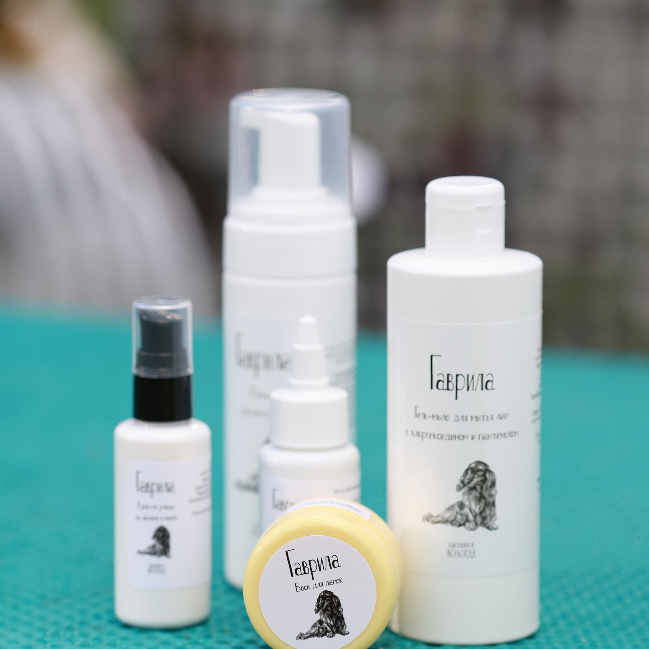 27-28.09.2025 ВЫСТАВКИ СОБАК ВСЕХ ПОРОД (САС, ЧРКФ, ЧФ). Кинологический клуб РКФ РФСС СЕНСАЦИЯ