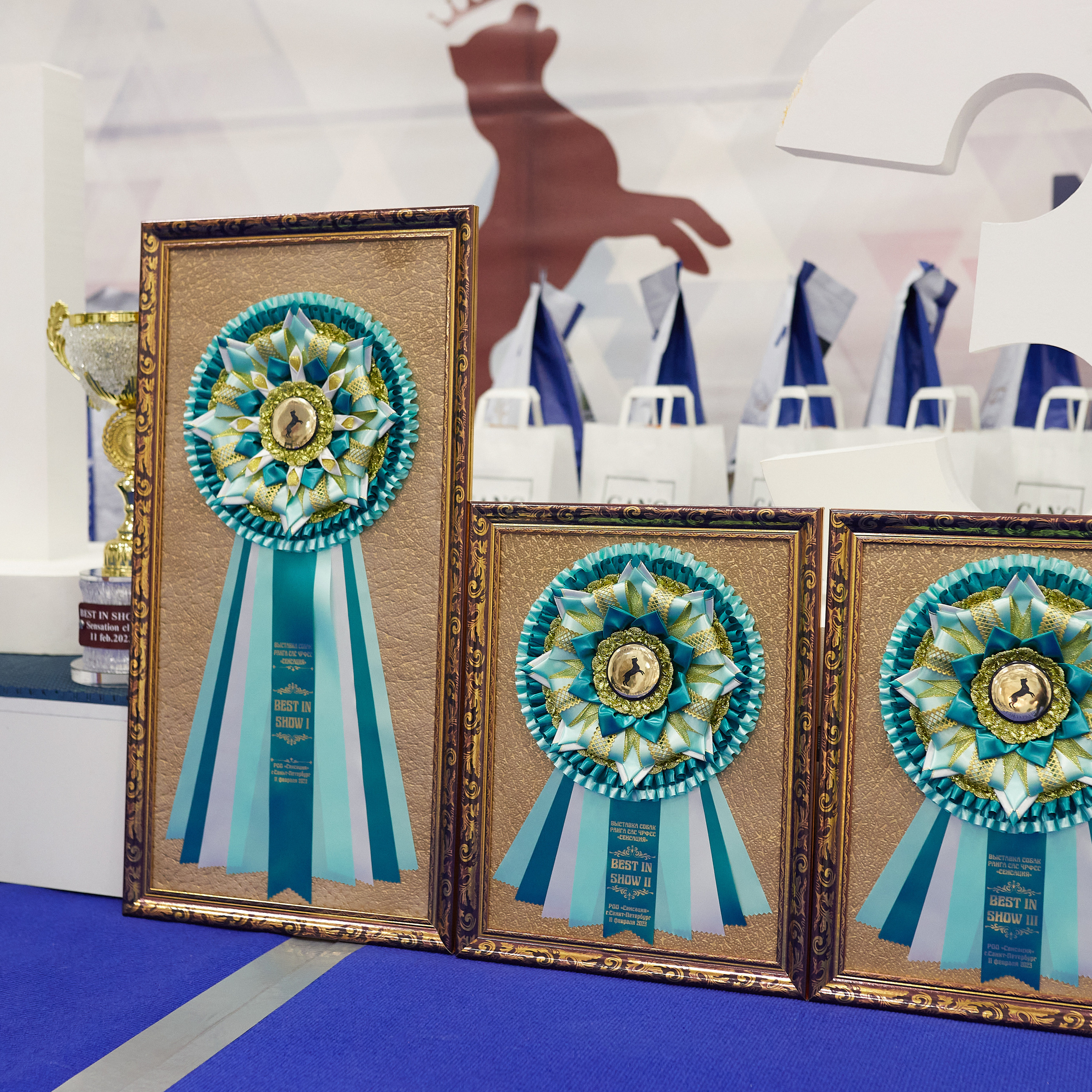 11.02.23 ВЫСТАВКА СОБАК ВСЕХ ПОРОД (CAC, ЧФ) «СЕНСАЦИЯ-2023». Кинологический клуб РКФ РФСС СЕНСАЦИЯ