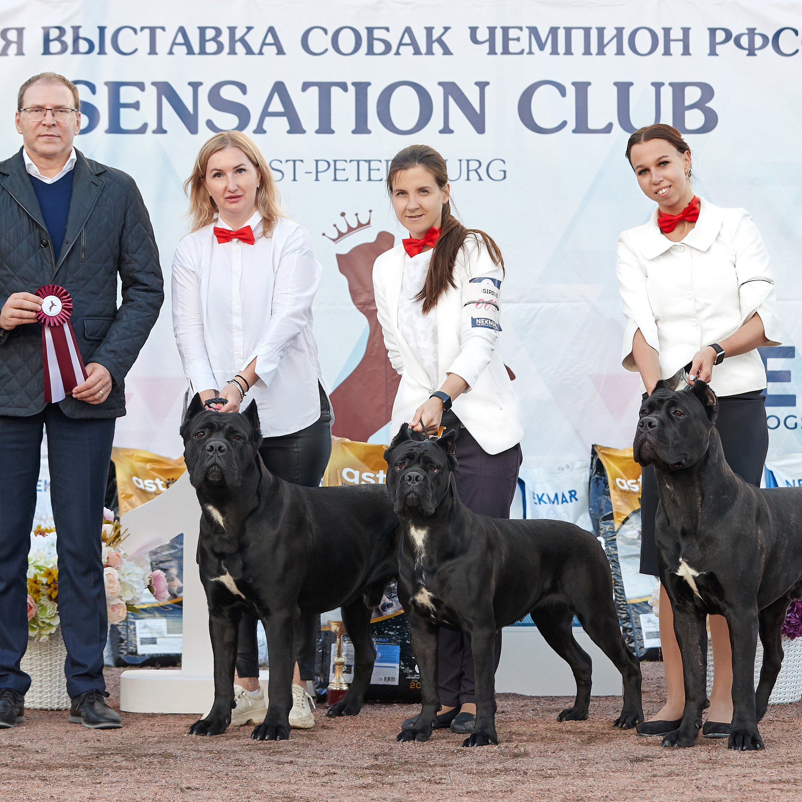18.09.22 ВЫСТАВКА СОБАК ВСЕХ ПОРОД (CAC, ЧФ) «СЕНСАЦИЯ-2022». Кинологический клуб РКФ РФСС СЕНСАЦИЯ