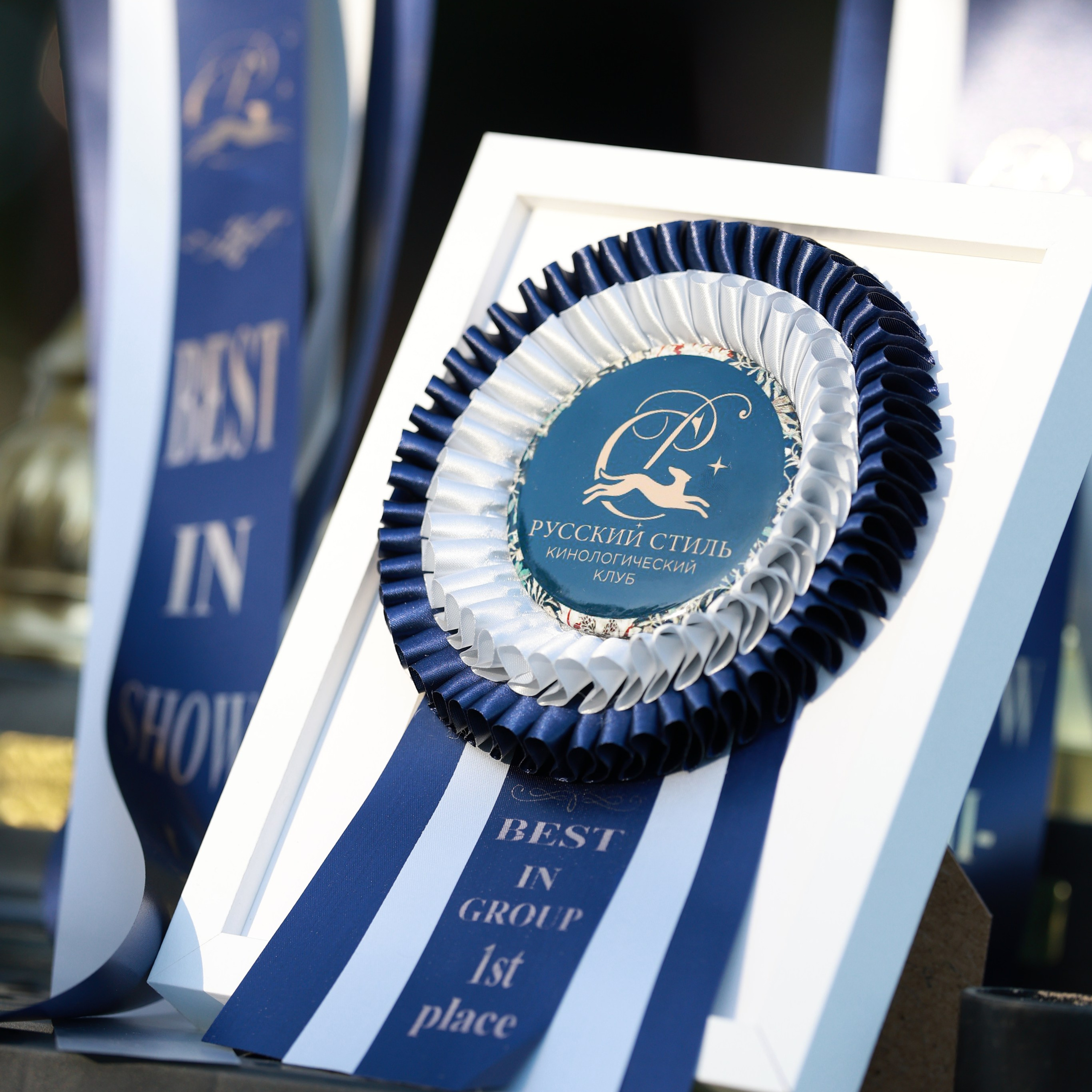 27-28.09.2025 ВЫСТАВКИ СОБАК ВСЕХ ПОРОД (САС, ЧРКФ, ЧФ). Кинологический клуб РКФ РФСС СЕНСАЦИЯ