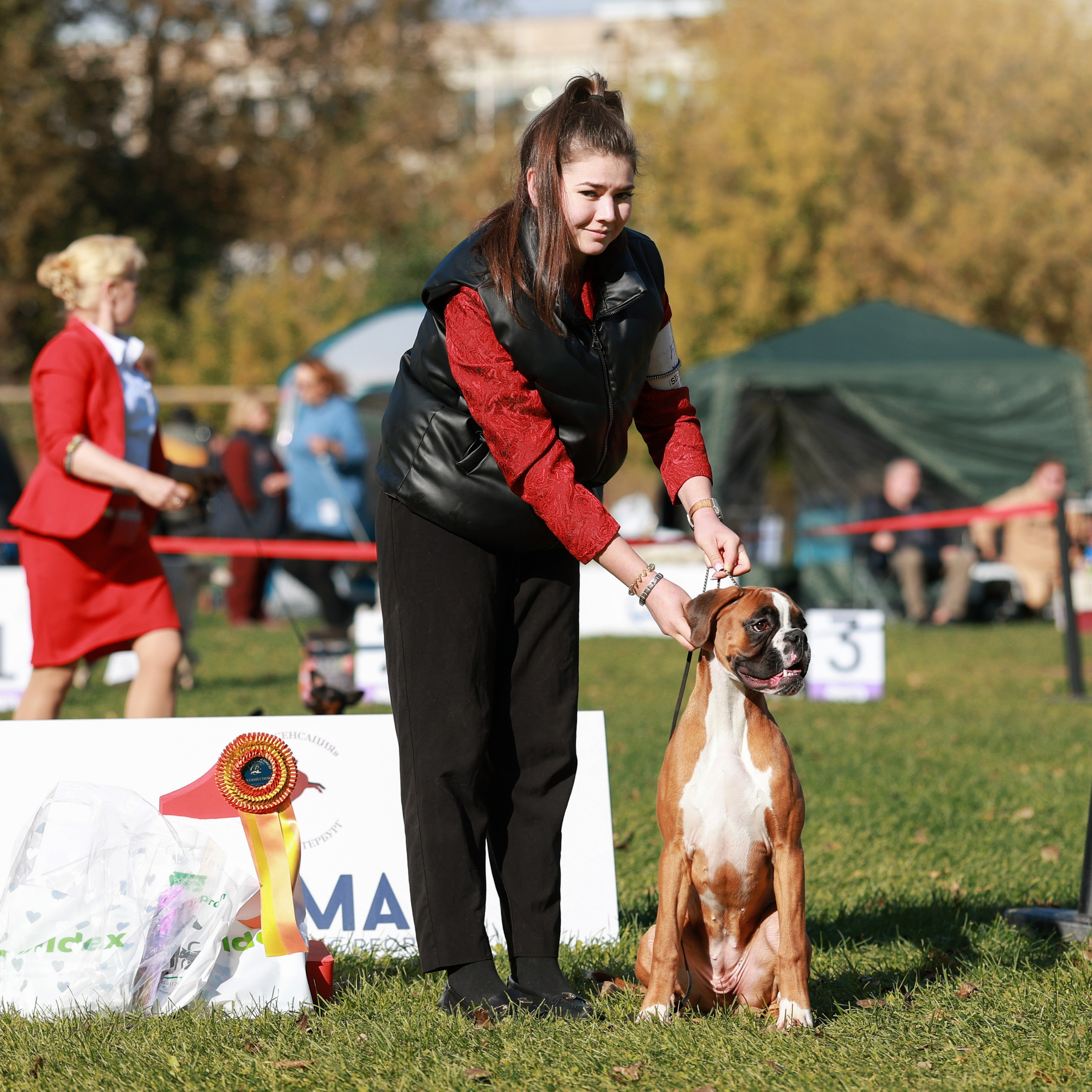 27-28.09.2025 ВЫСТАВКИ СОБАК ВСЕХ ПОРОД (САС, ЧРКФ, ЧФ). Кинологический клуб РКФ РФСС СЕНСАЦИЯ