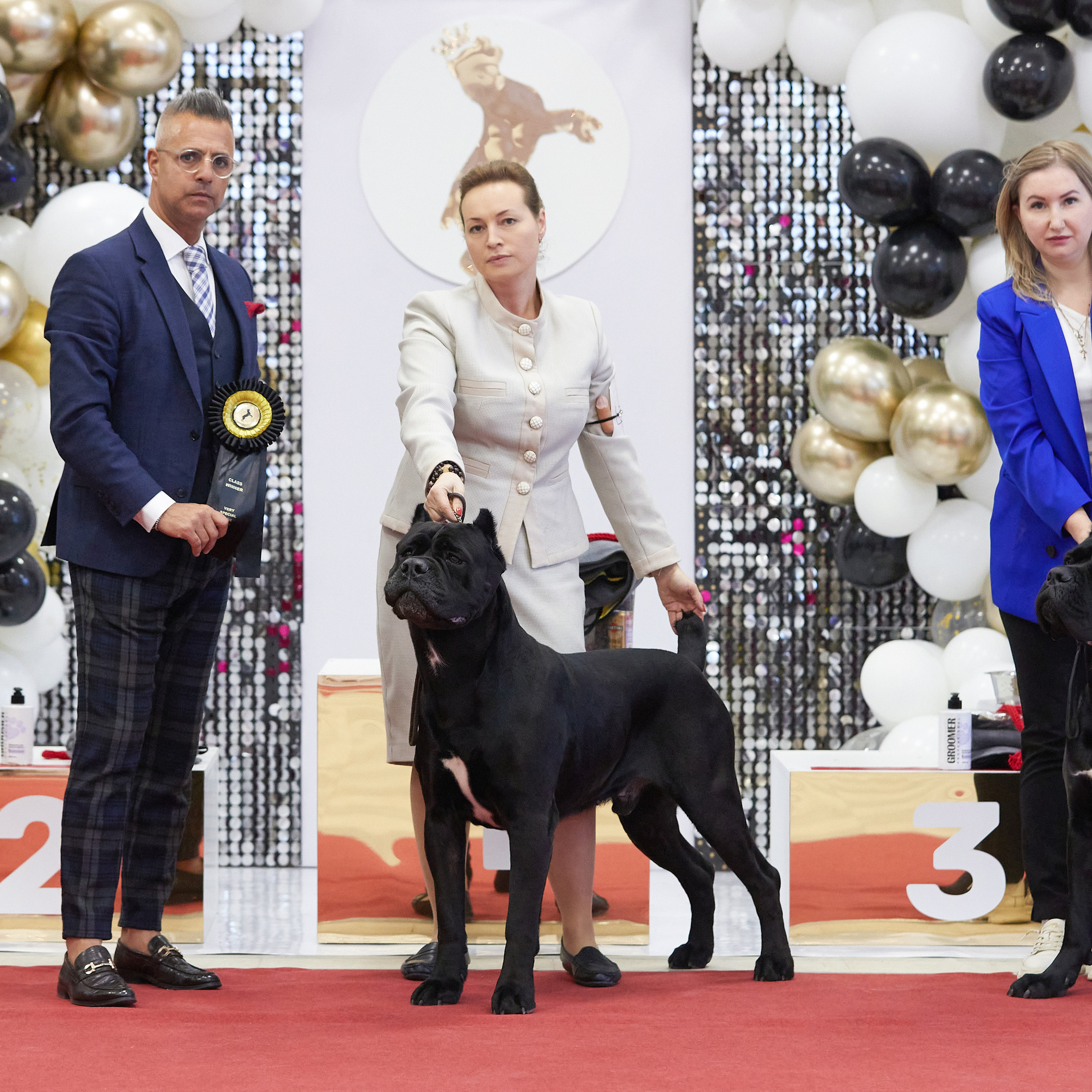 11.02.23 ВЫСТАВКА СОБАК ВСЕХ ПОРОД (CAC, ЧФ) «СЕНСАЦИЯ-2023». Кинологический клуб РКФ РФСС СЕНСАЦИЯ