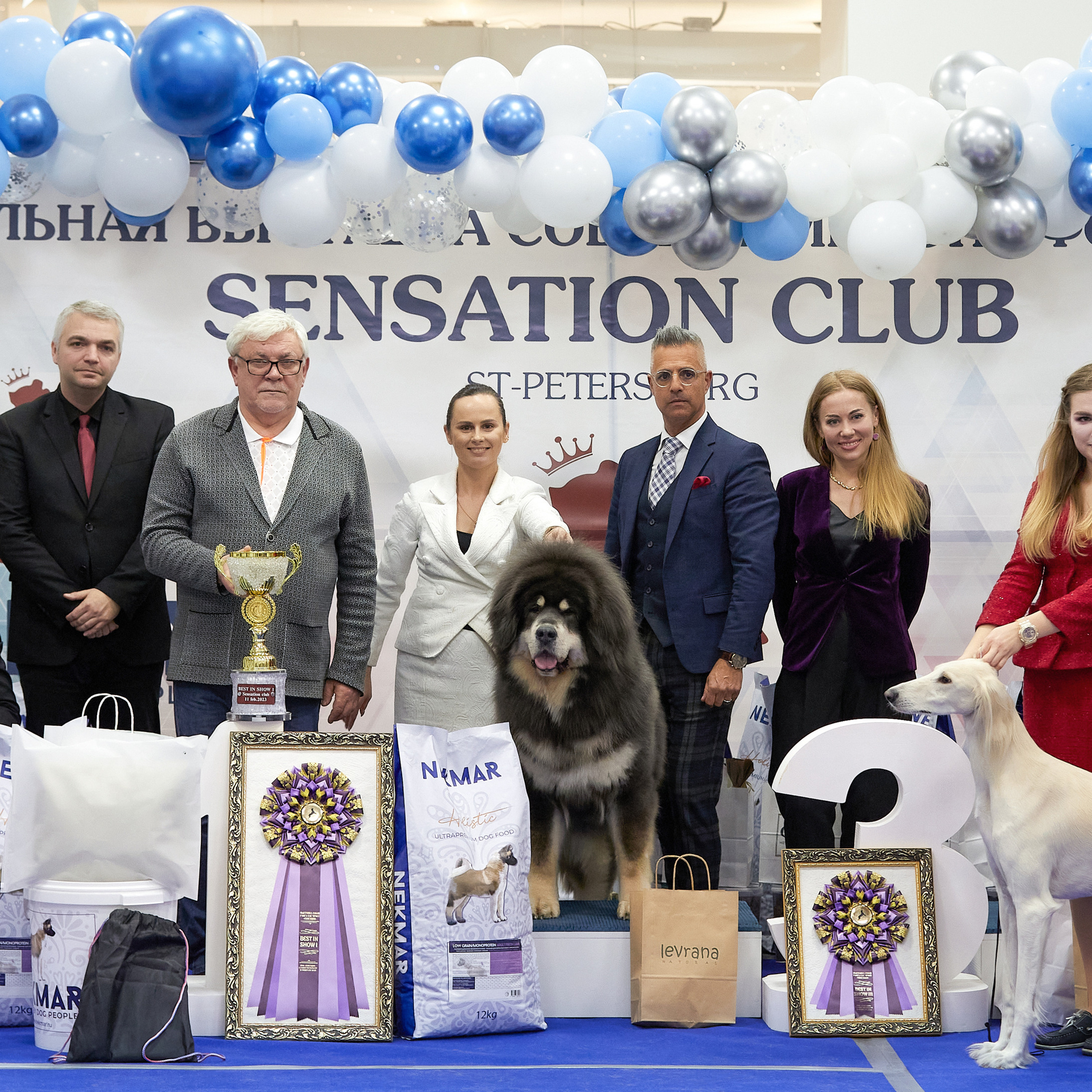 11.02.23 ВЫСТАВКА СОБАК ВСЕХ ПОРОД (CAC, ЧФ) «СЕНСАЦИЯ-2023». Кинологический клуб РКФ РФСС СЕНСАЦИЯ