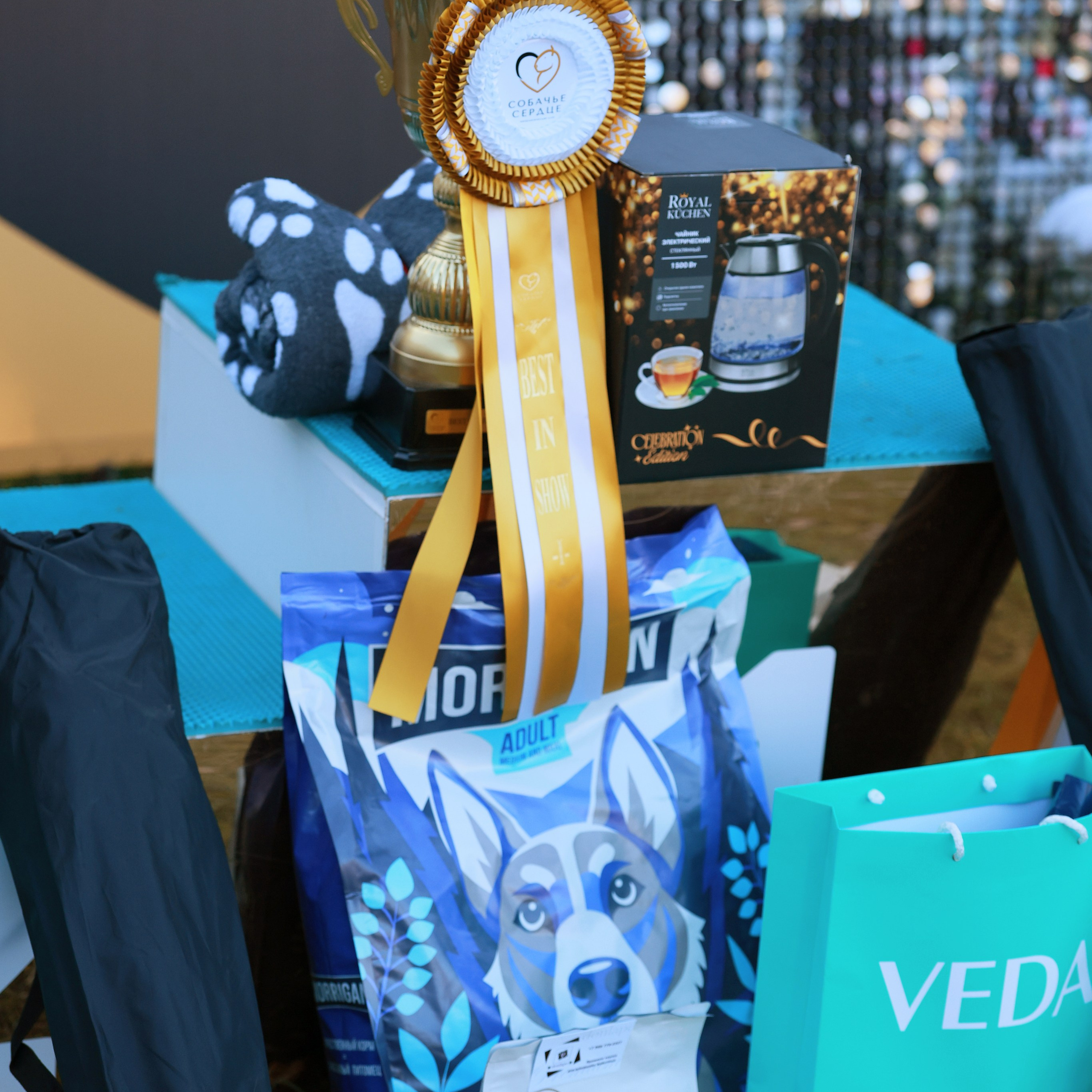 27-28.09.2025 ВЫСТАВКИ СОБАК ВСЕХ ПОРОД (САС, ЧРКФ, ЧФ). Кинологический клуб РКФ РФСС СЕНСАЦИЯ