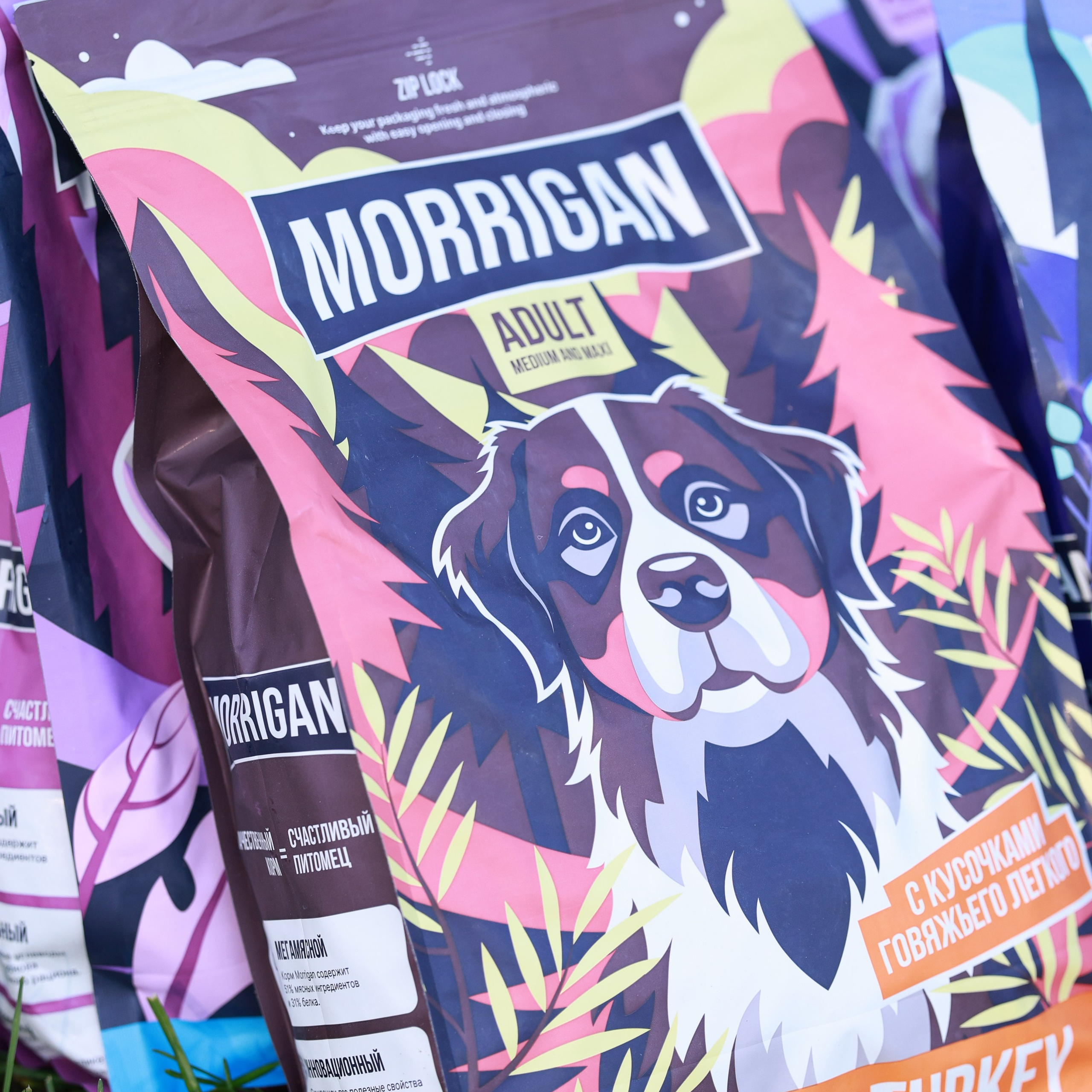 27-28.09.2025 ВЫСТАВКИ СОБАК ВСЕХ ПОРОД (САС, ЧРКФ, ЧФ). Кинологический клуб РКФ РФСС СЕНСАЦИЯ