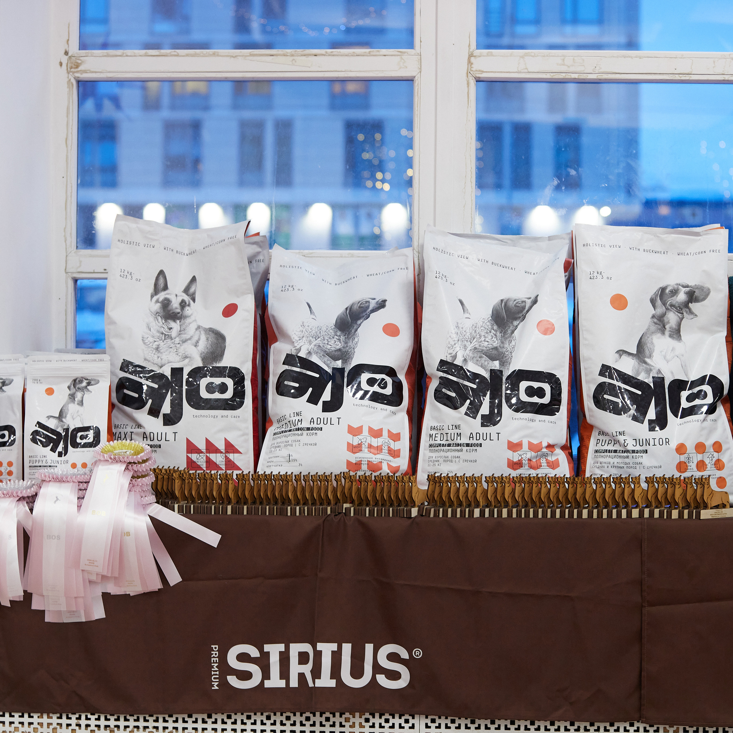 11.02.23 ВЫСТАВКА СОБАК ВСЕХ ПОРОД (CAC, ЧФ) «СЕНСАЦИЯ-2023». Кинологический клуб РКФ РФСС СЕНСАЦИЯ