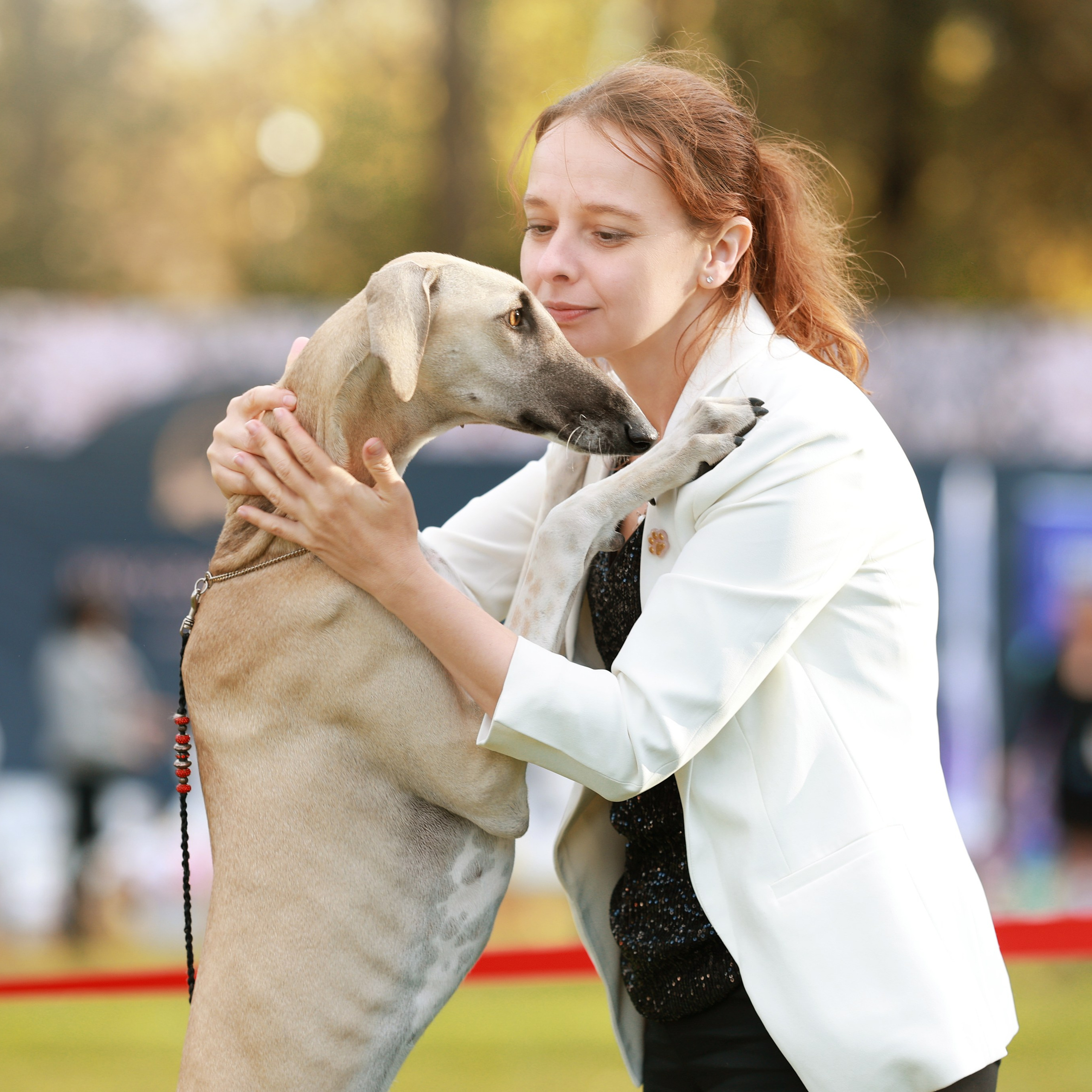 27-28.09.2025 ВЫСТАВКИ СОБАК ВСЕХ ПОРОД (САС, ЧРКФ, ЧФ). Кинологический клуб РКФ РФСС СЕНСАЦИЯ