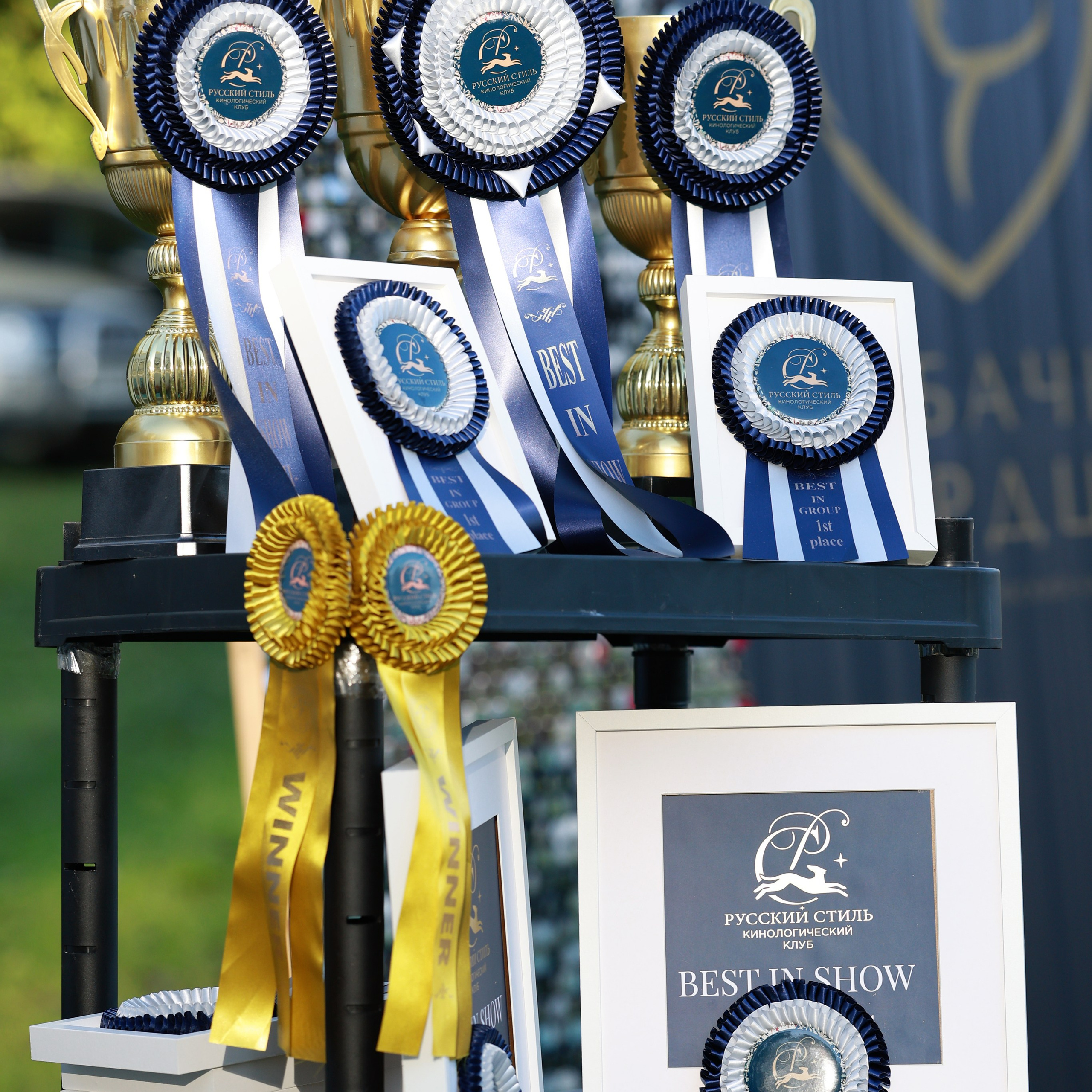 27-28.09.2025 ВЫСТАВКИ СОБАК ВСЕХ ПОРОД (САС, ЧРКФ, ЧФ). Кинологический клуб РКФ РФСС СЕНСАЦИЯ