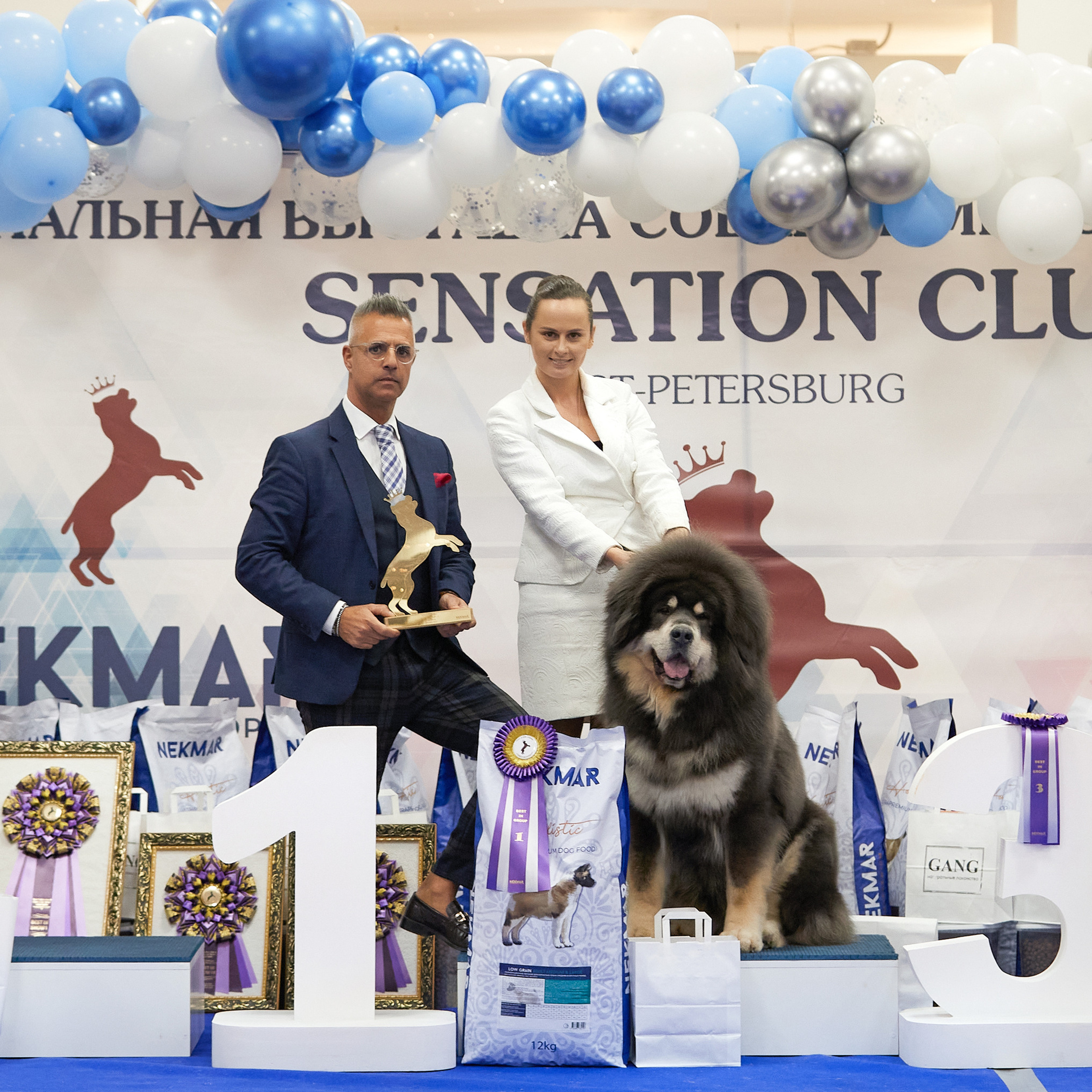 11.02.23 ВЫСТАВКА СОБАК ВСЕХ ПОРОД (CAC, ЧФ) «СЕНСАЦИЯ-2023». Кинологический клуб РКФ РФСС СЕНСАЦИЯ