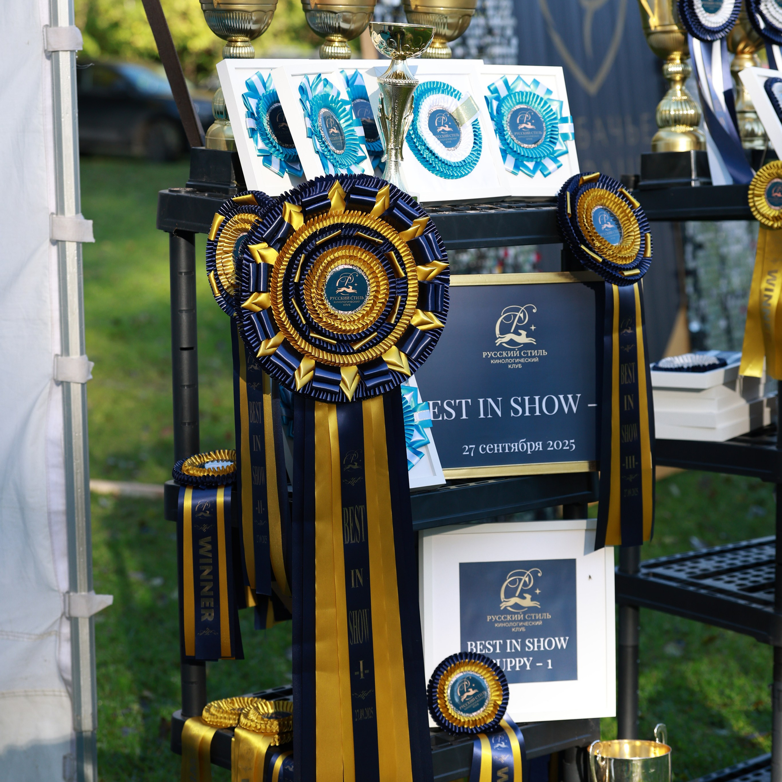 27-28.09.2025 ВЫСТАВКИ СОБАК ВСЕХ ПОРОД (САС, ЧРКФ, ЧФ). Кинологический клуб РКФ РФСС СЕНСАЦИЯ
