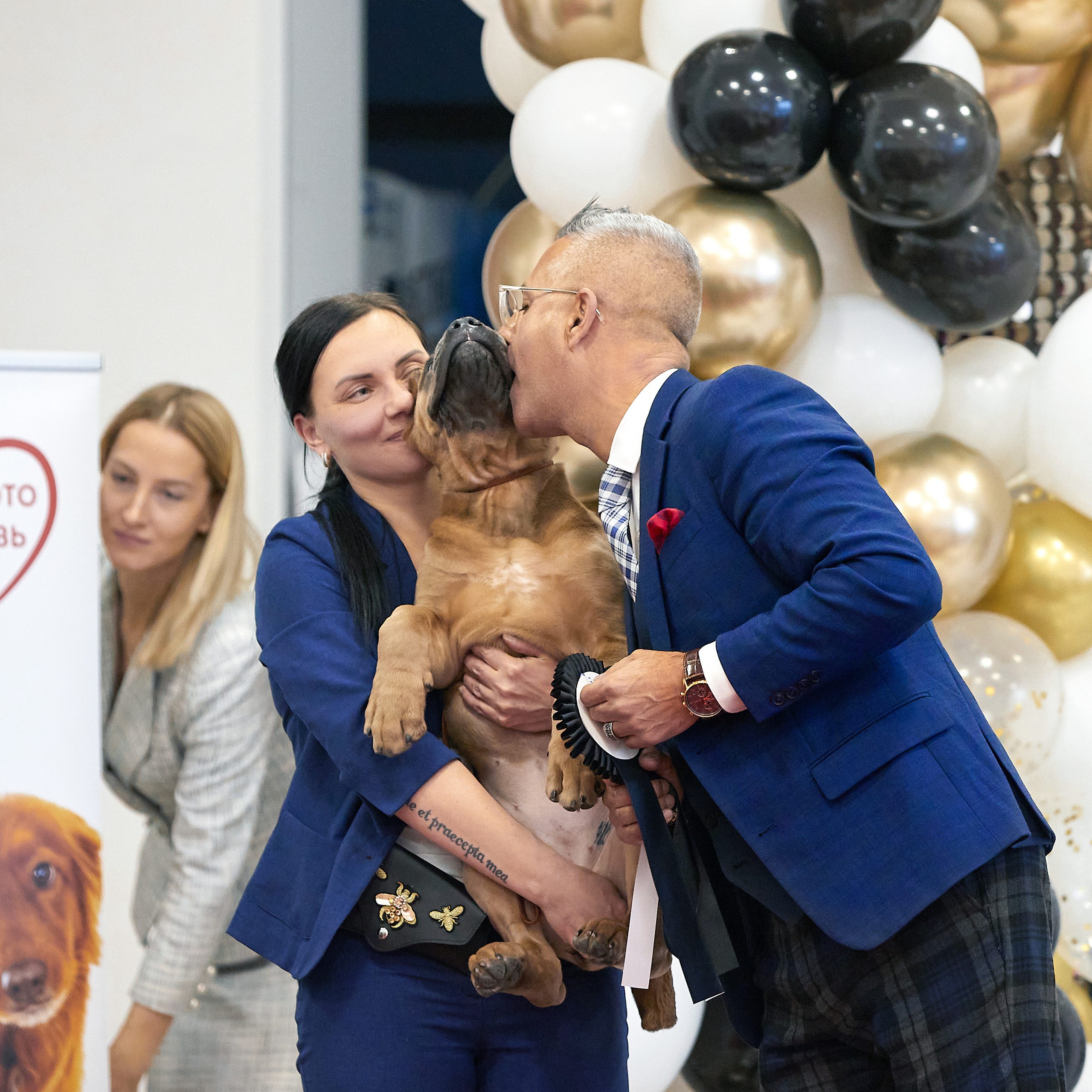 11.02.23 ВЫСТАВКА СОБАК ВСЕХ ПОРОД (CAC, ЧФ) «СЕНСАЦИЯ-2023». Кинологический клуб РКФ РФСС СЕНСАЦИЯ