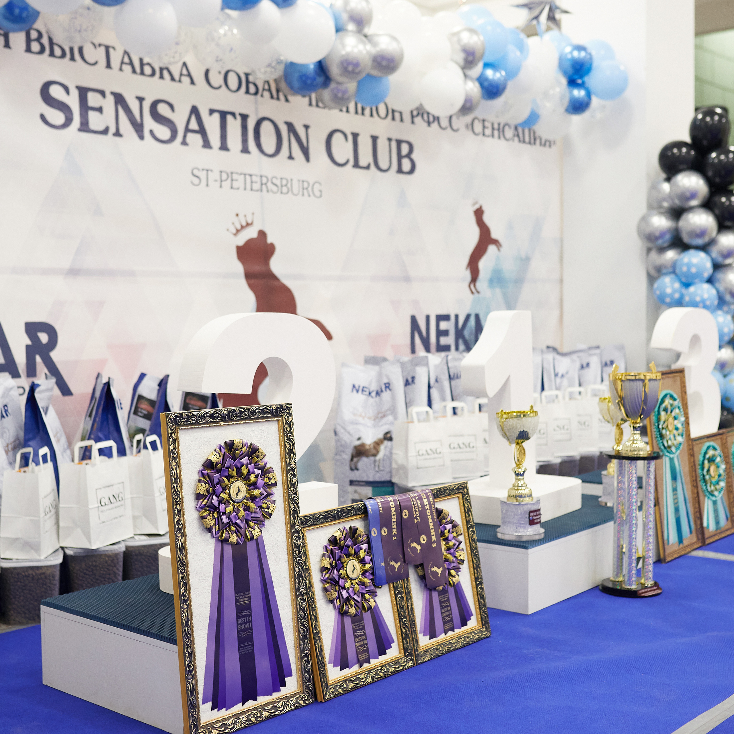 11.02.23 ВЫСТАВКА СОБАК ВСЕХ ПОРОД (CAC, ЧФ) «СЕНСАЦИЯ-2023». Кинологический клуб РКФ РФСС СЕНСАЦИЯ