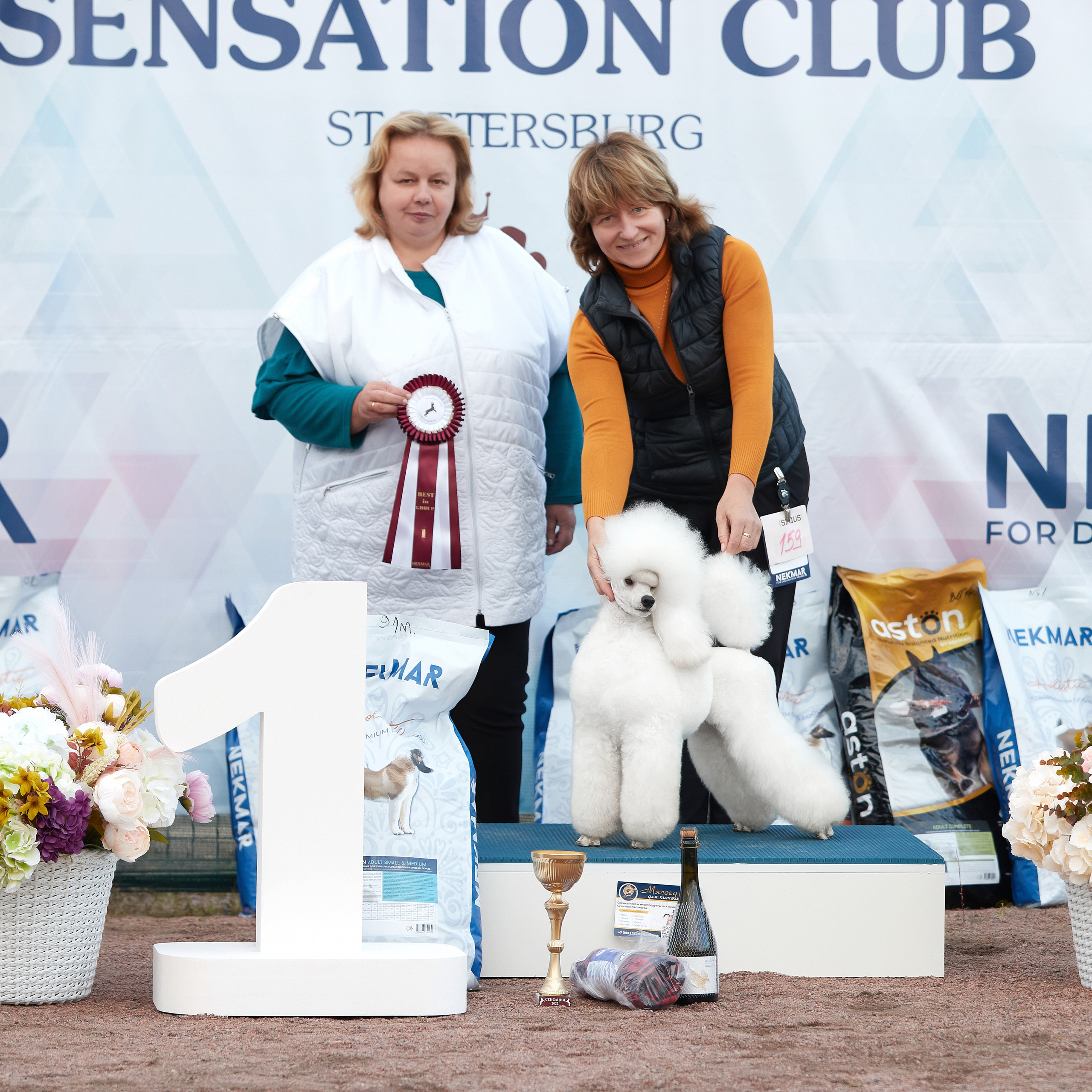 18.09.22 ВЫСТАВКА СОБАК ВСЕХ ПОРОД (CAC, ЧФ) «СЕНСАЦИЯ-2022». Кинологический клуб РКФ РФСС СЕНСАЦИЯ