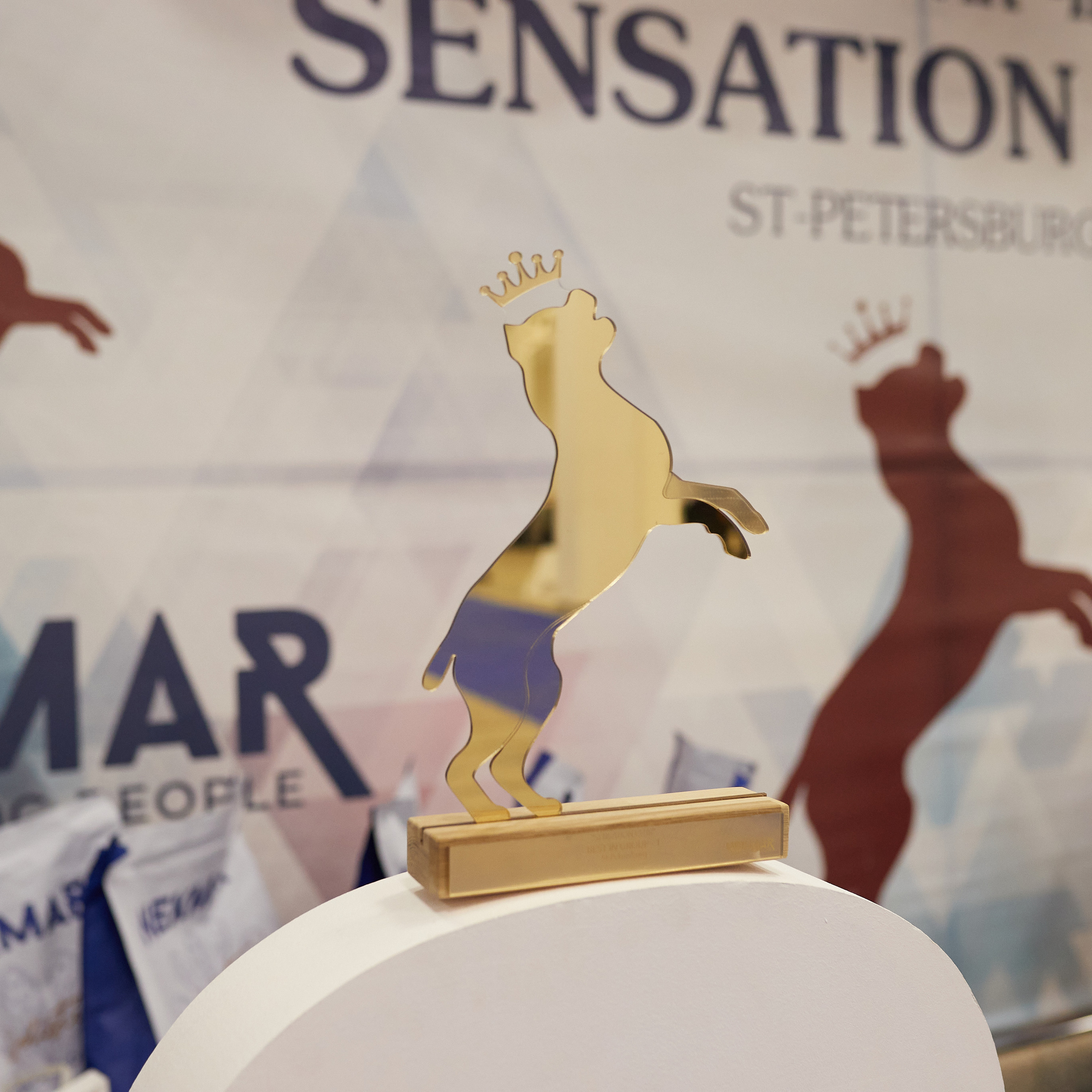 11.02.23 ВЫСТАВКА СОБАК ВСЕХ ПОРОД (CAC, ЧФ) «СЕНСАЦИЯ-2023». Кинологический клуб РКФ РФСС СЕНСАЦИЯ