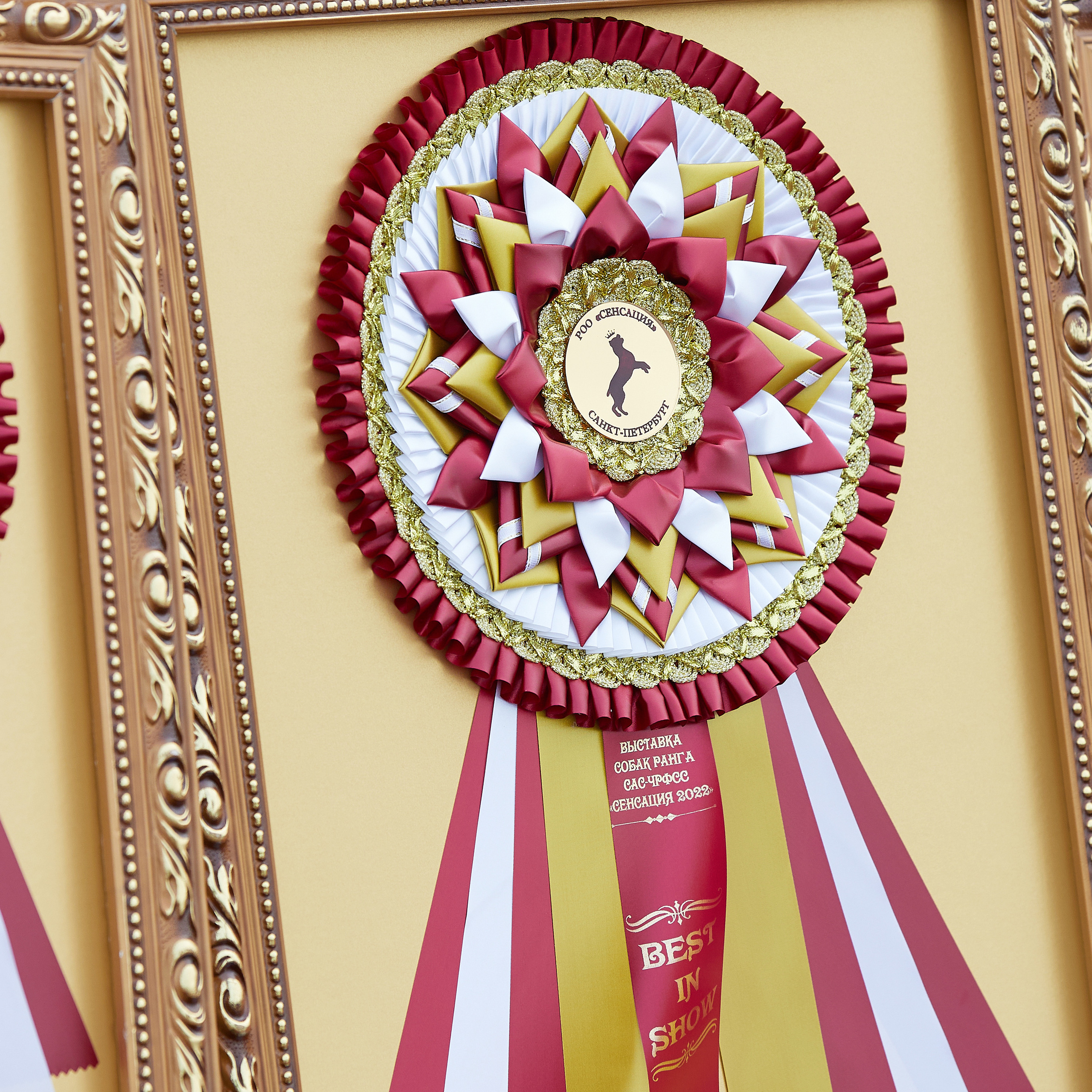 18.09.22 ВЫСТАВКА СОБАК ВСЕХ ПОРОД (CAC, ЧФ) «СЕНСАЦИЯ-2022». Кинологический клуб РКФ РФСС СЕНСАЦИЯ