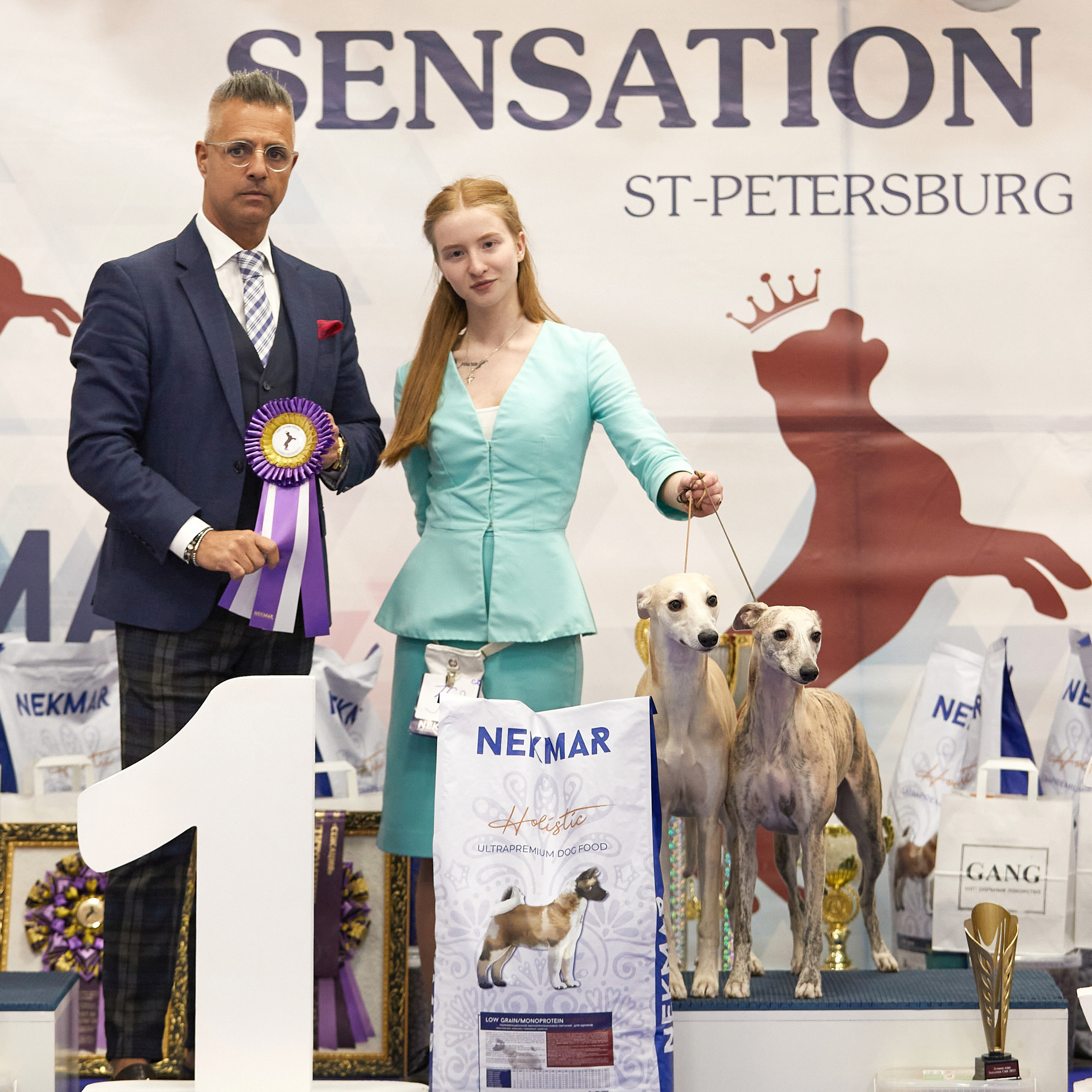 11.02.23 ВЫСТАВКА СОБАК ВСЕХ ПОРОД (CAC, ЧФ) «СЕНСАЦИЯ-2023». Кинологический клуб РКФ РФСС СЕНСАЦИЯ