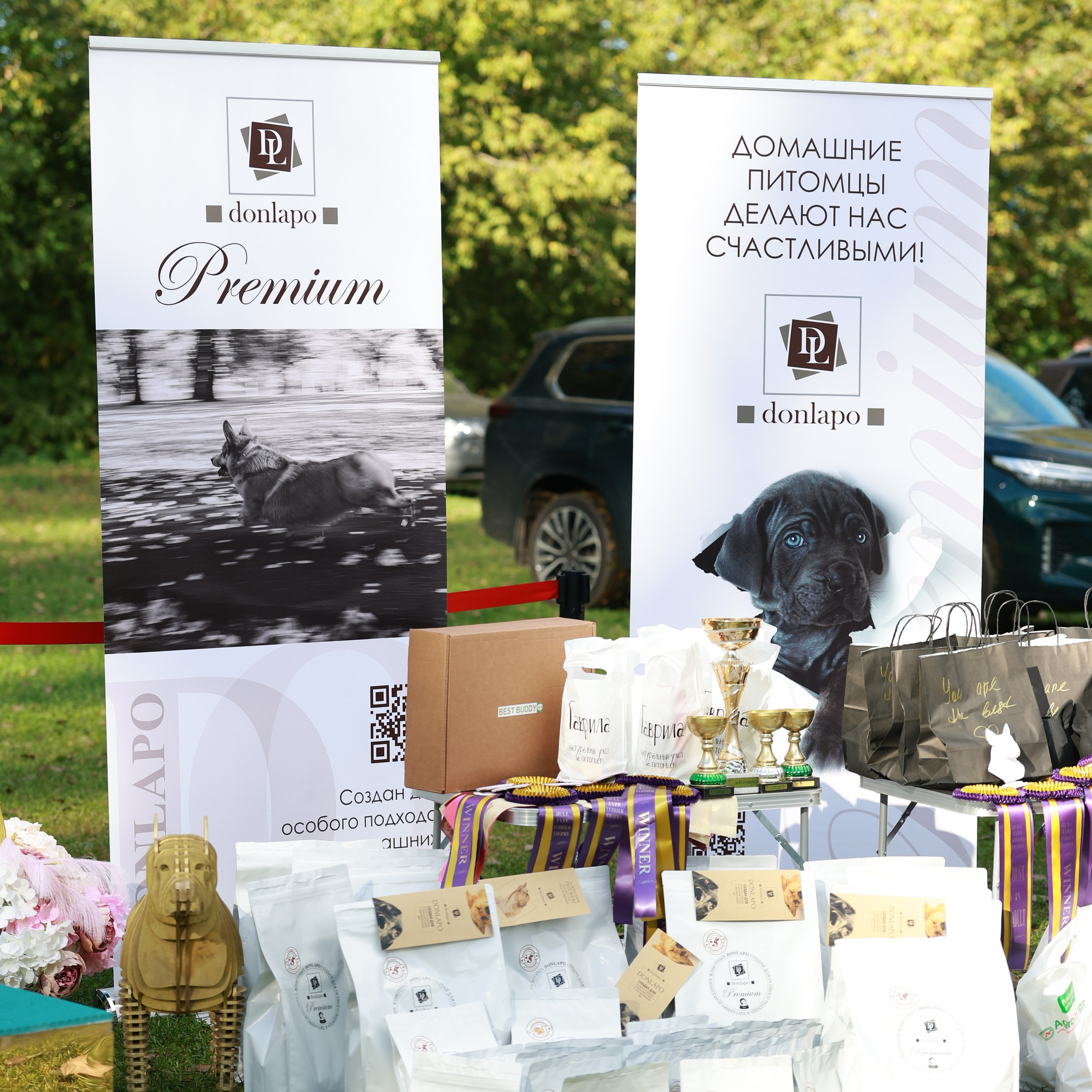 27-28.09.2025 ВЫСТАВКИ СОБАК ВСЕХ ПОРОД (САС, ЧРКФ, ЧФ). Кинологический клуб РКФ РФСС СЕНСАЦИЯ