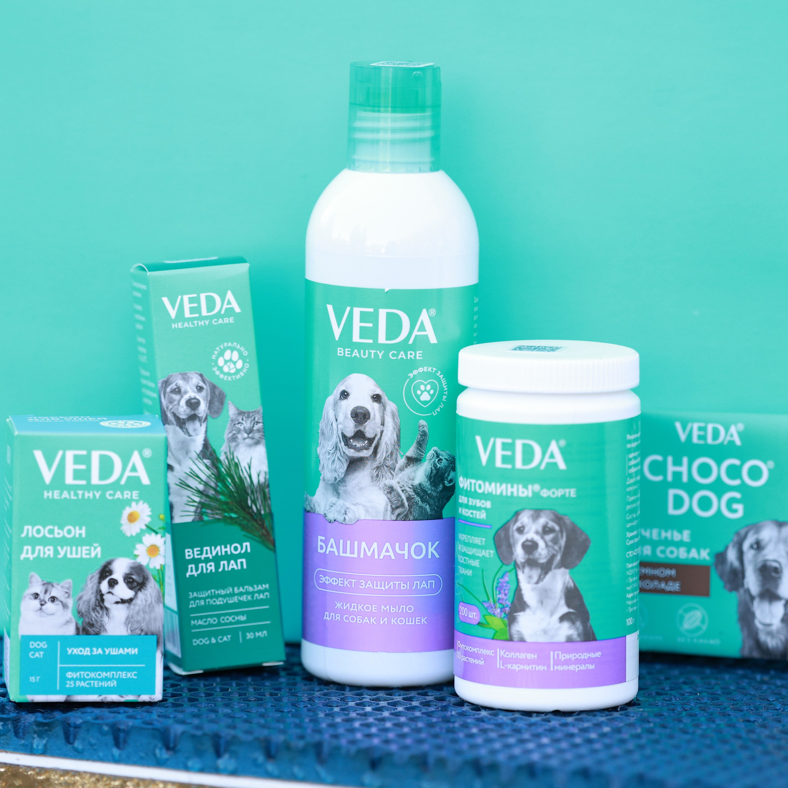 27-28.09.2025 ВЫСТАВКИ СОБАК ВСЕХ ПОРОД (САС, ЧРКФ, ЧФ). Кинологический клуб РКФ РФСС СЕНСАЦИЯ