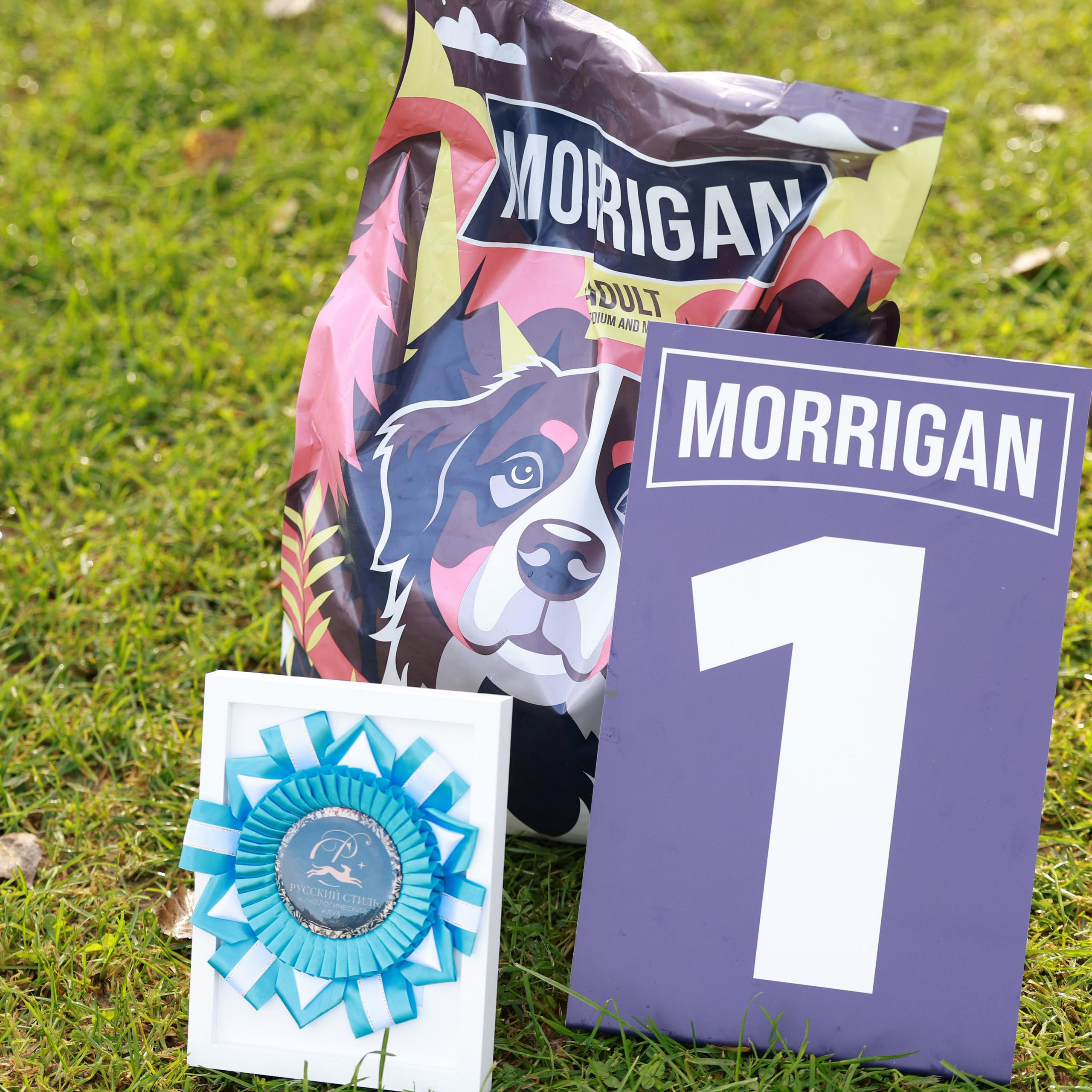 27-28.09.2025 ВЫСТАВКИ СОБАК ВСЕХ ПОРОД (САС, ЧРКФ, ЧФ). Кинологический клуб РКФ РФСС СЕНСАЦИЯ