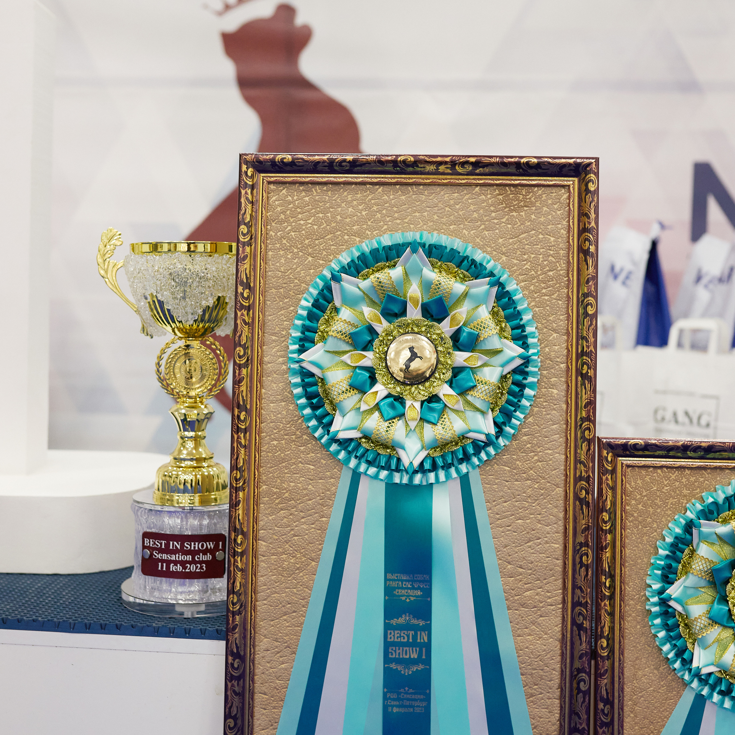 11.02.23 ВЫСТАВКА СОБАК ВСЕХ ПОРОД (CAC, ЧФ) «СЕНСАЦИЯ-2023». Кинологический клуб РКФ РФСС СЕНСАЦИЯ
