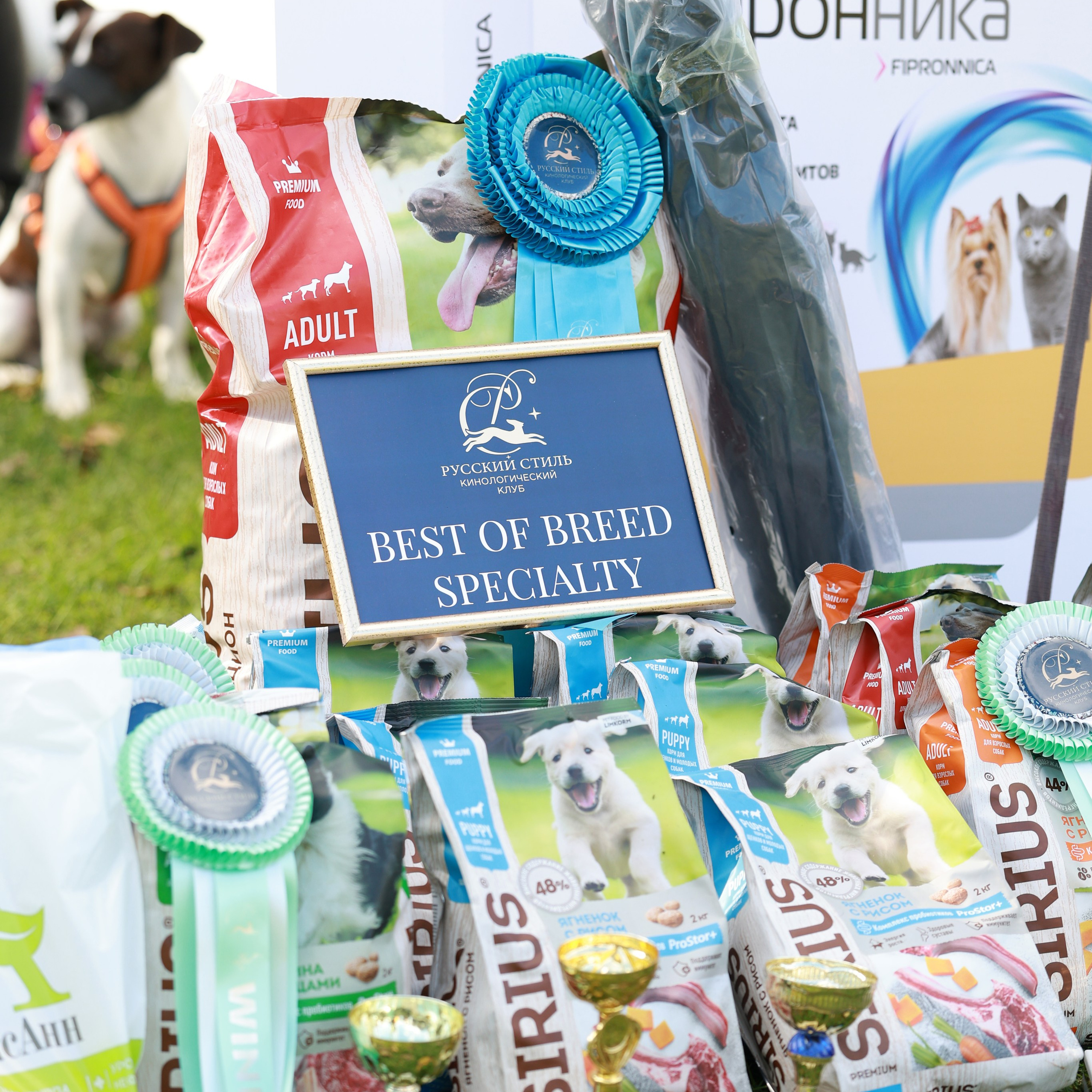 27-28.09.2025 ВЫСТАВКИ СОБАК ВСЕХ ПОРОД (САС, ЧРКФ, ЧФ). Кинологический клуб РКФ РФСС СЕНСАЦИЯ