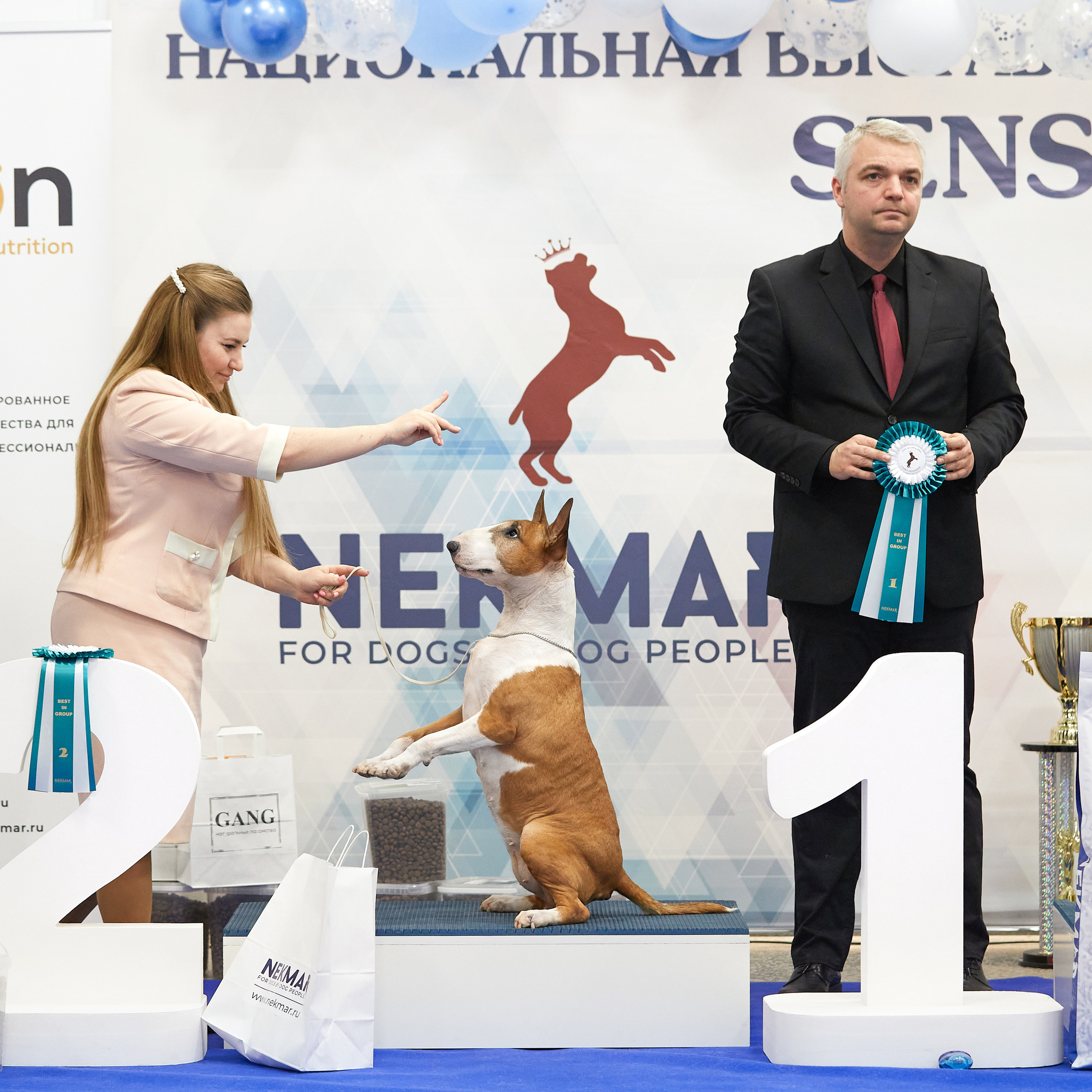 11.02.23 ВЫСТАВКА СОБАК ВСЕХ ПОРОД (CAC, ЧФ) «СЕНСАЦИЯ-2023». Кинологический клуб РКФ РФСС СЕНСАЦИЯ