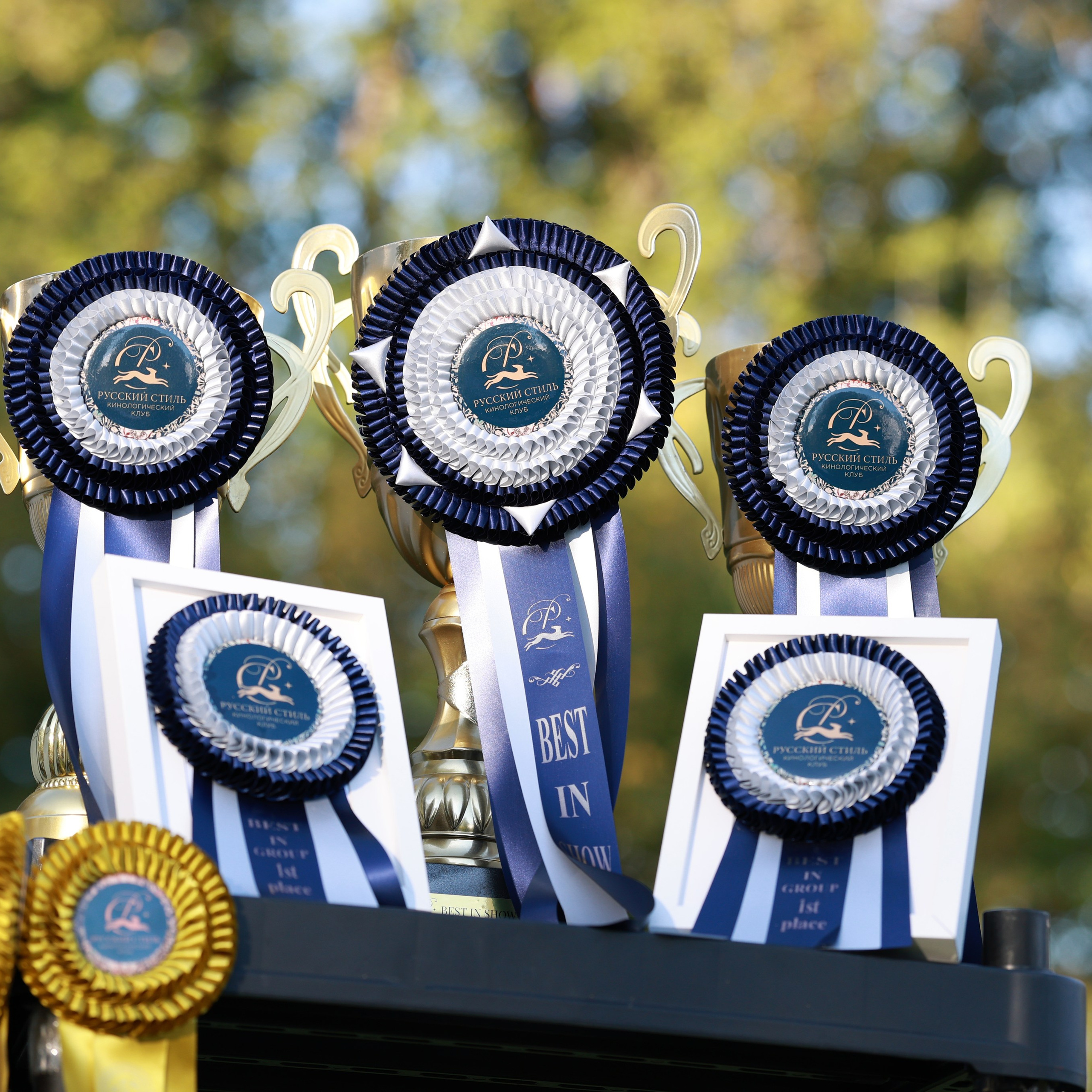 27-28.09.2025 ВЫСТАВКИ СОБАК ВСЕХ ПОРОД (САС, ЧРКФ, ЧФ). Кинологический клуб РКФ РФСС СЕНСАЦИЯ