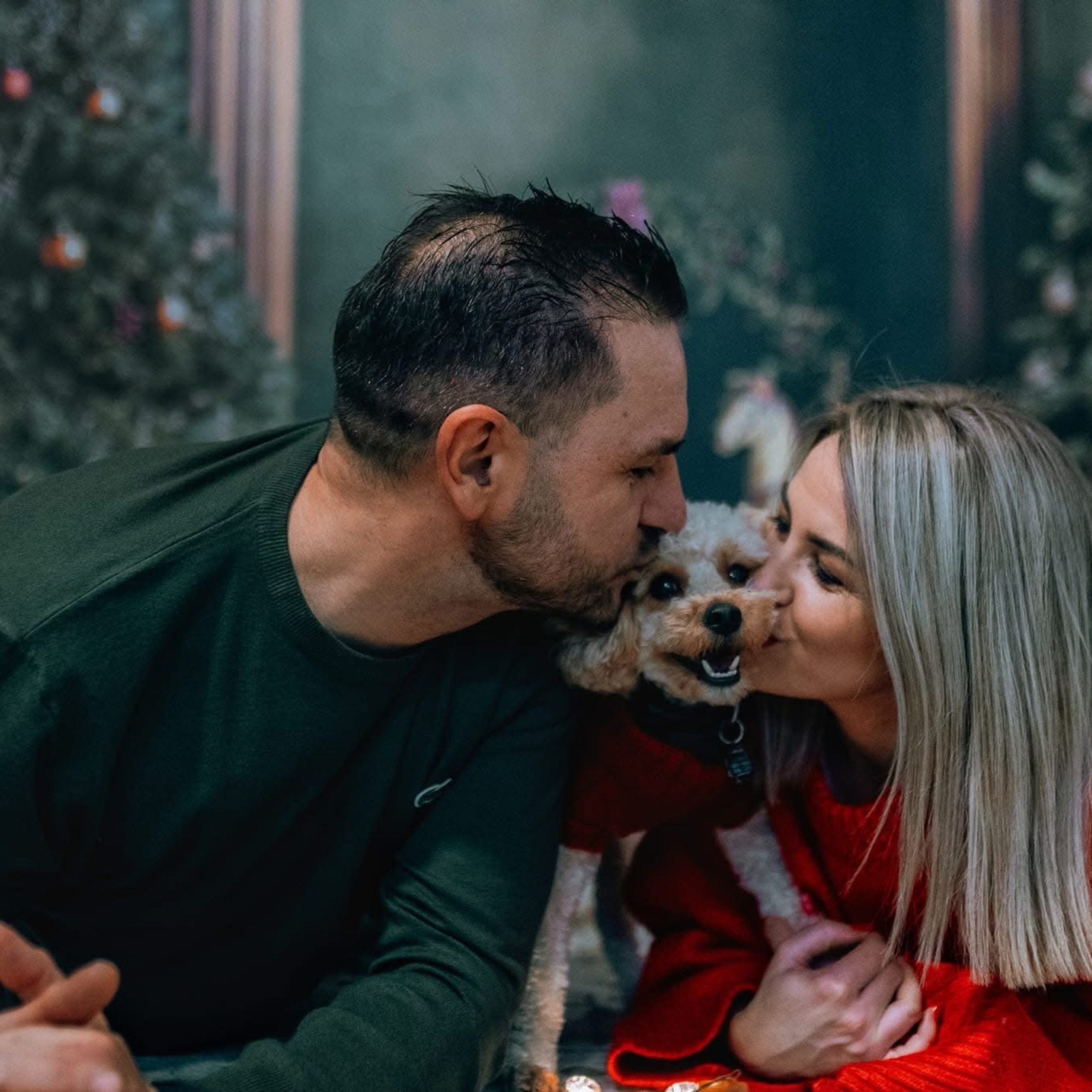 🎄 SEDINTE FOTO DE CRACIUN 2025. Emotions Photo Art