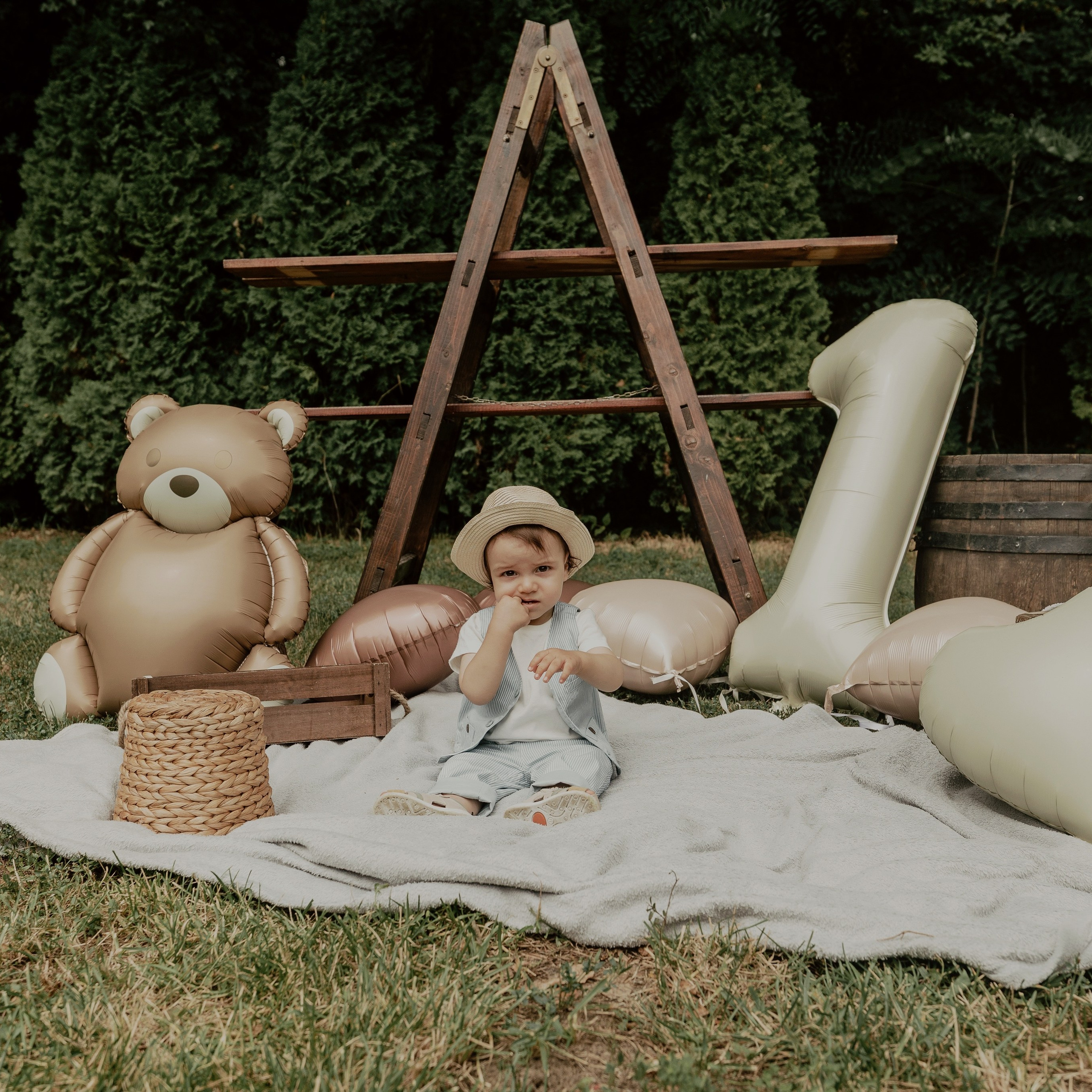 Armin — Micul explorator împlinește 1 an