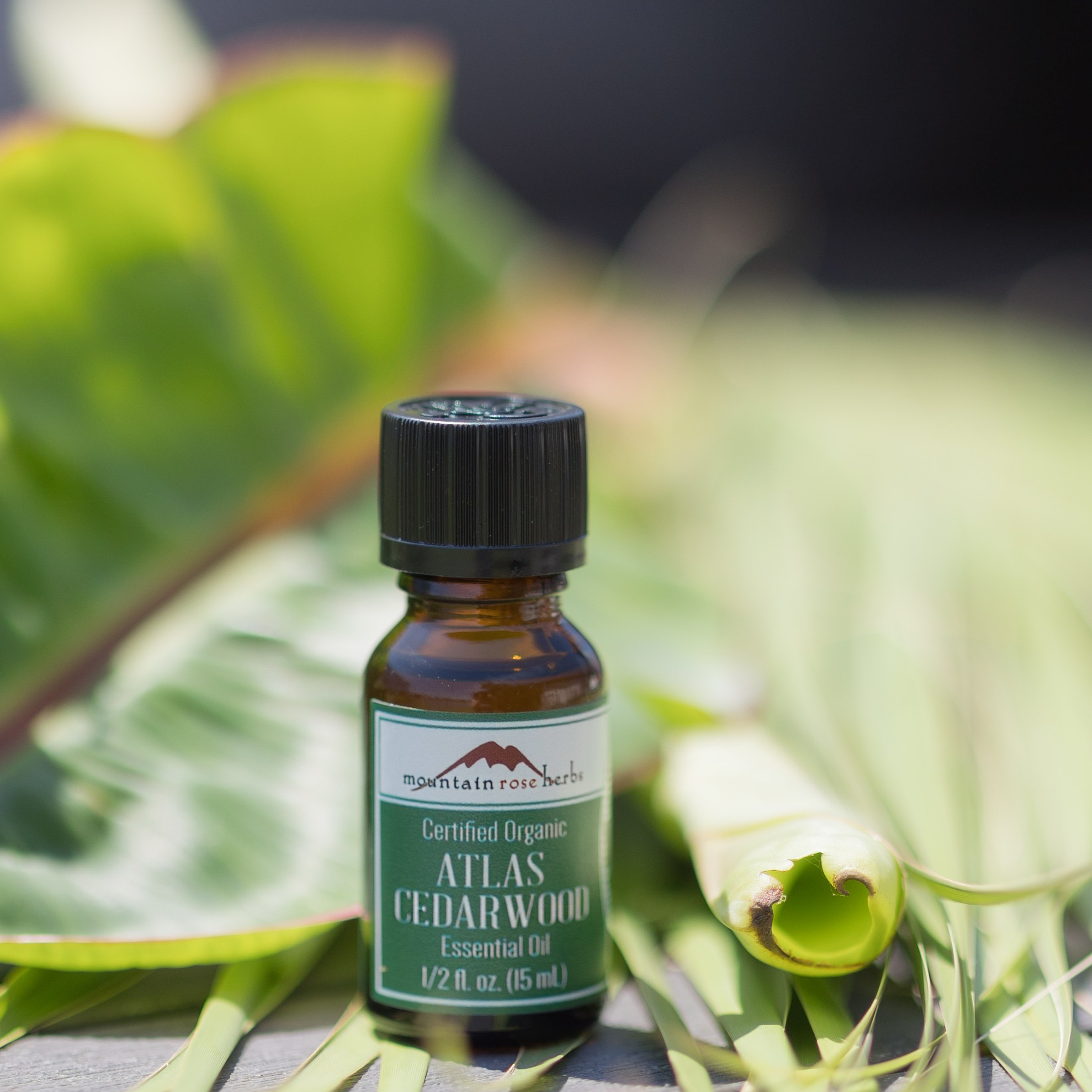 Reviews. Photographer Fort Myers Florida