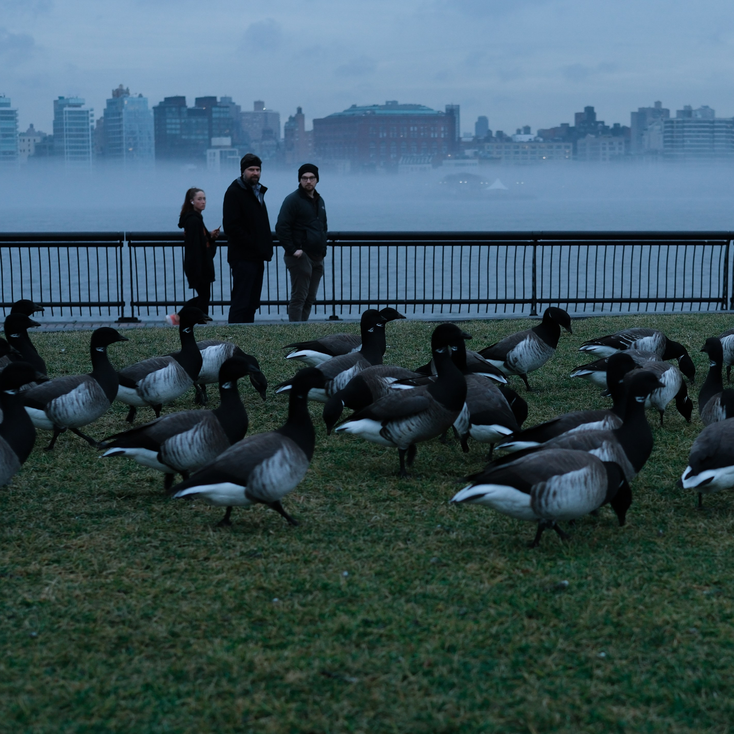 Reviews. Photographer in NYC