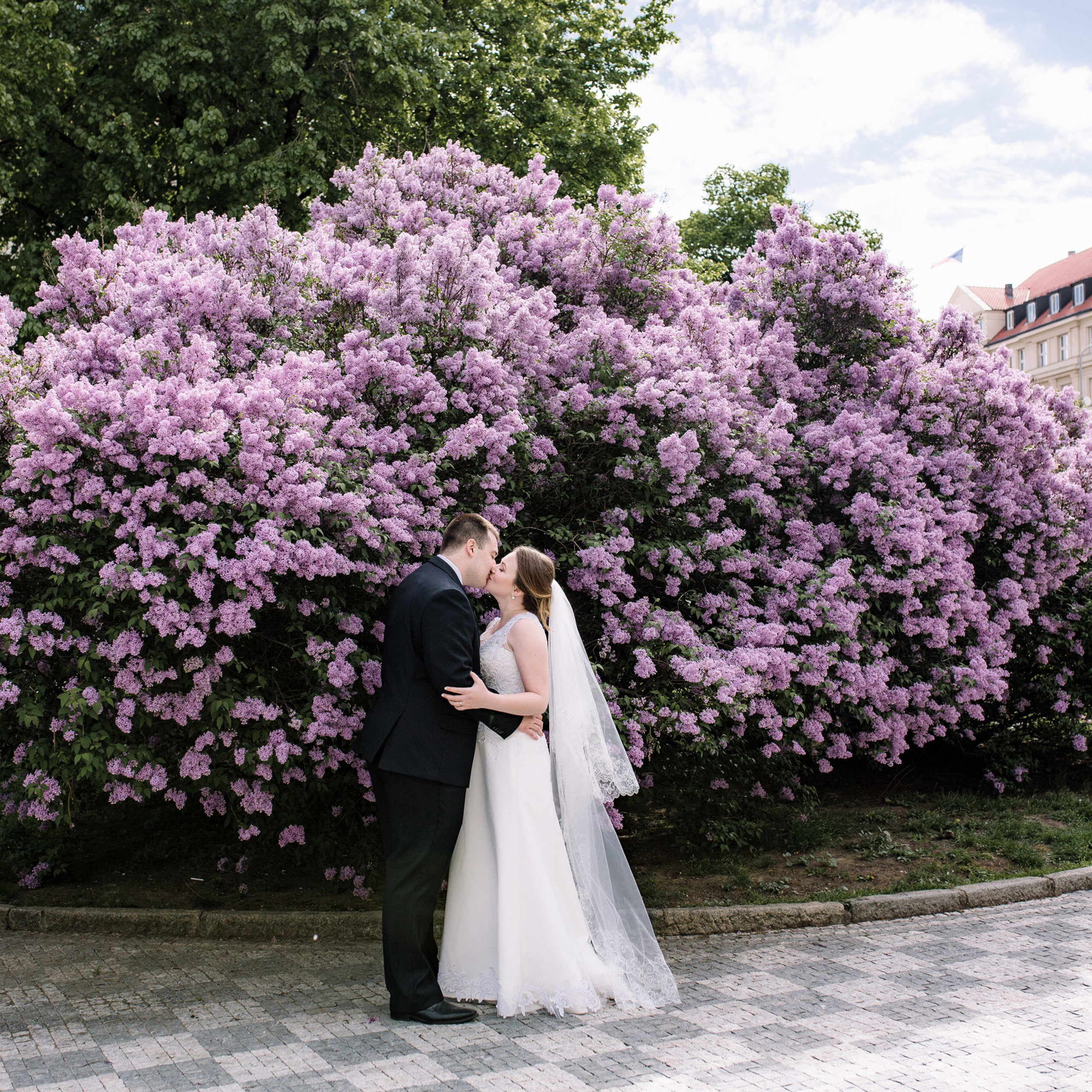 Feedback. Wedding and portrait photographer in Poland Vitali Frozen