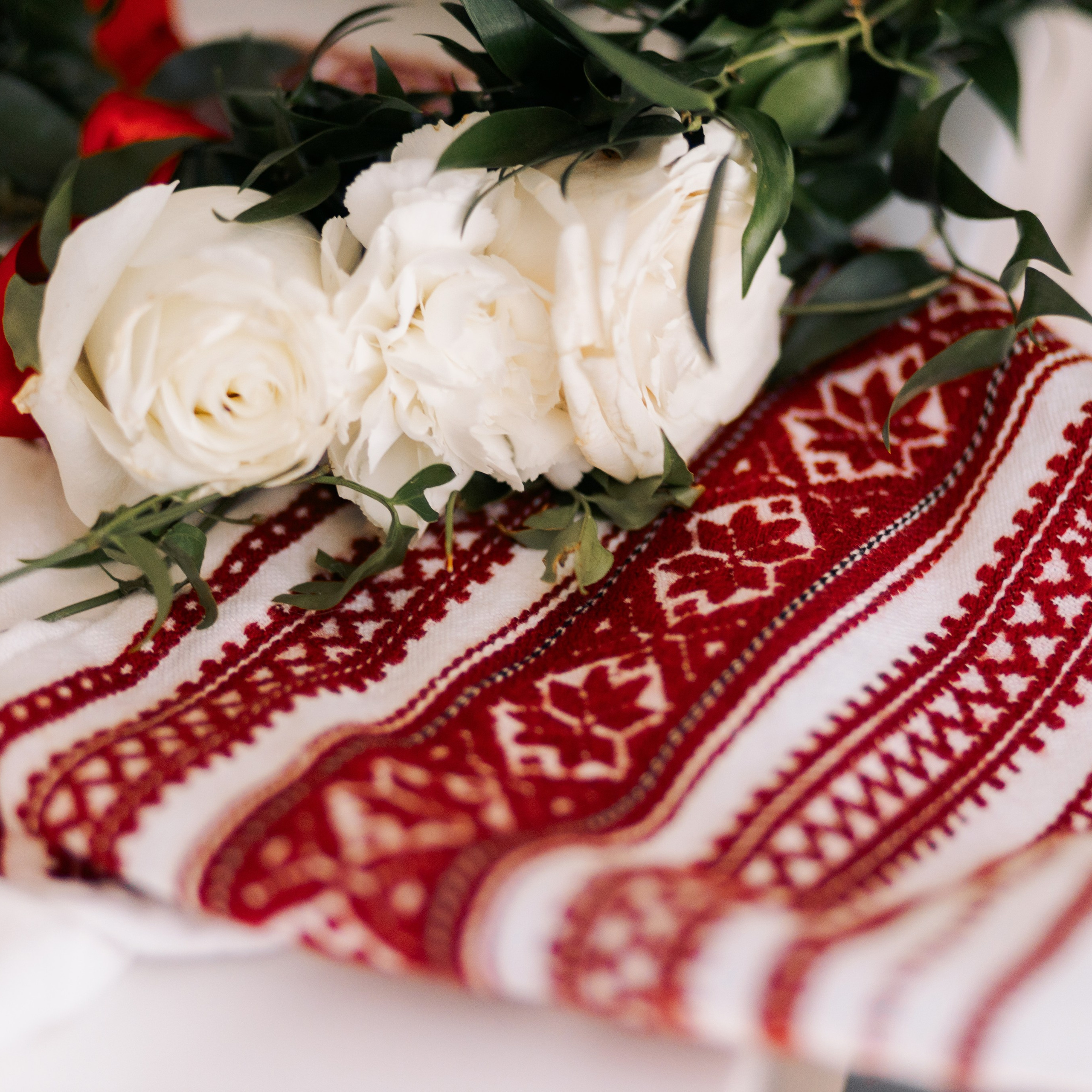 REVIEWS. Family and Event photographer in Bay Area Elena Tiuriumina