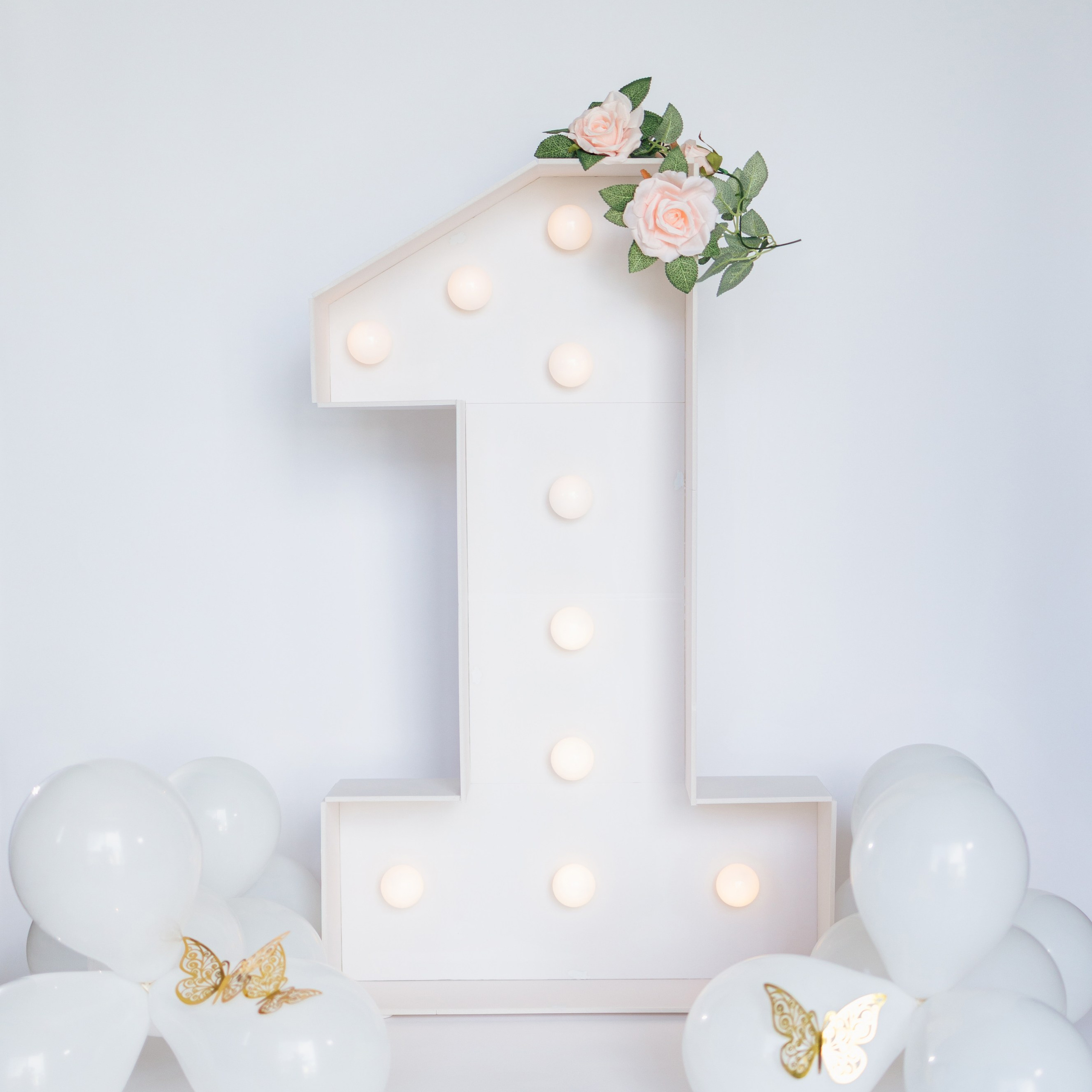 Portrait 1st Birthday