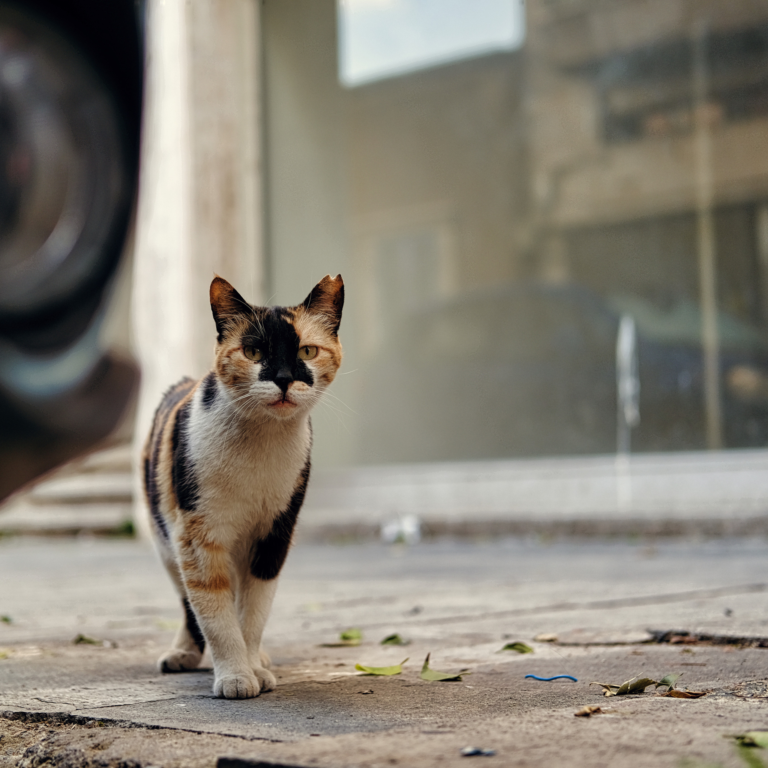 Candid Street Photography | Limassol City | Cyprus