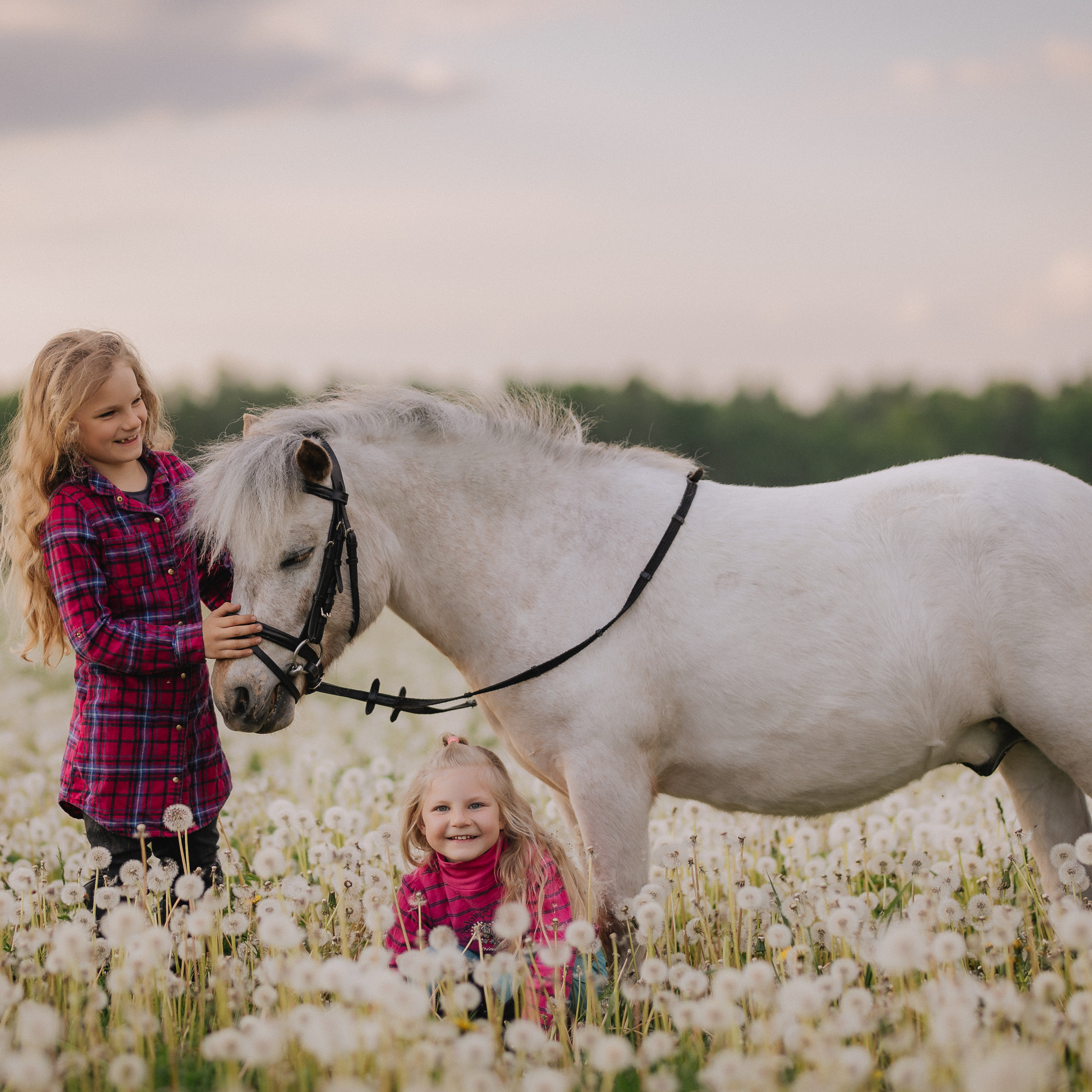 Liepa ir&nbsp;Luknė su&nbsp;Nemo