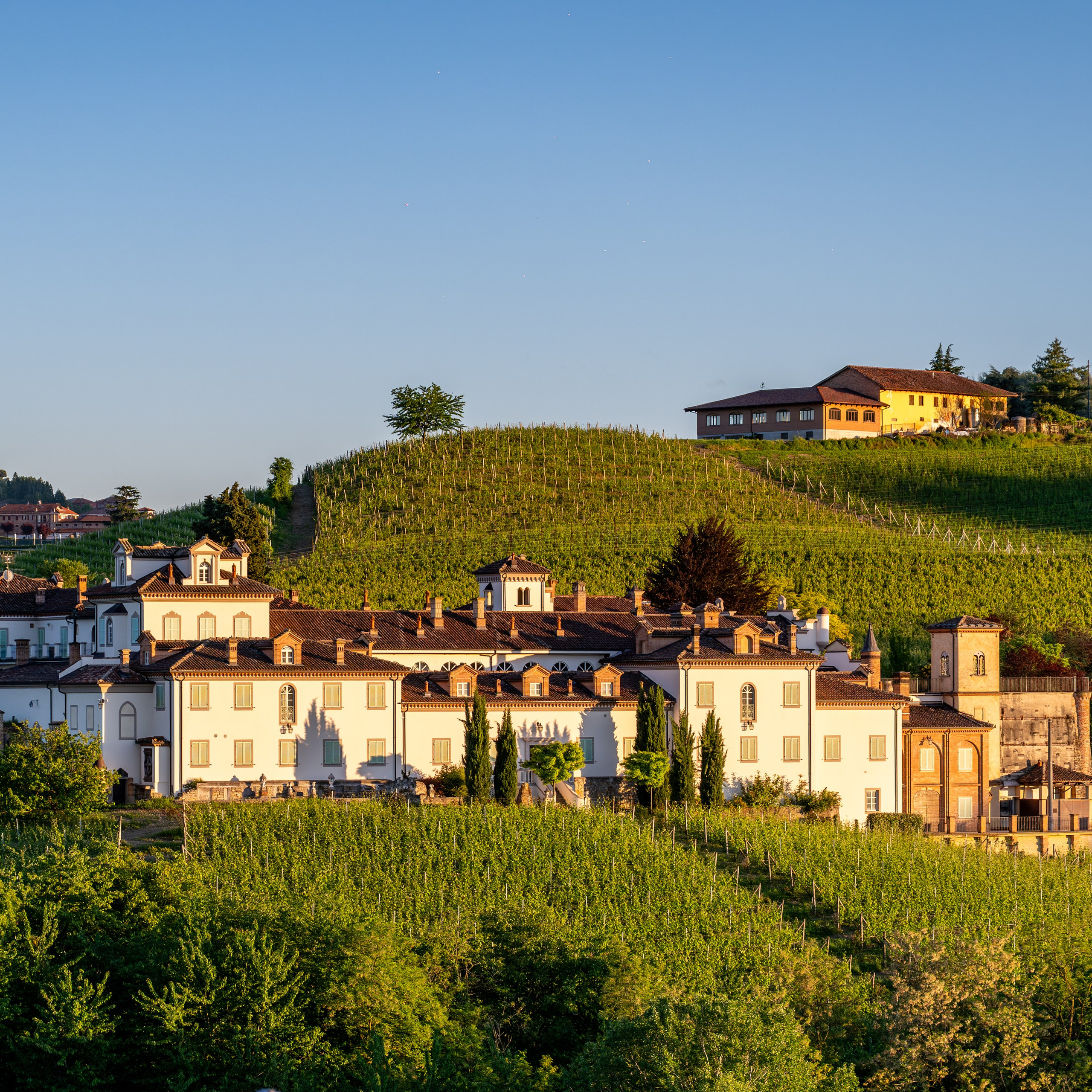 Cuzziol Grandi Vini e Cantine Parusso Monforte