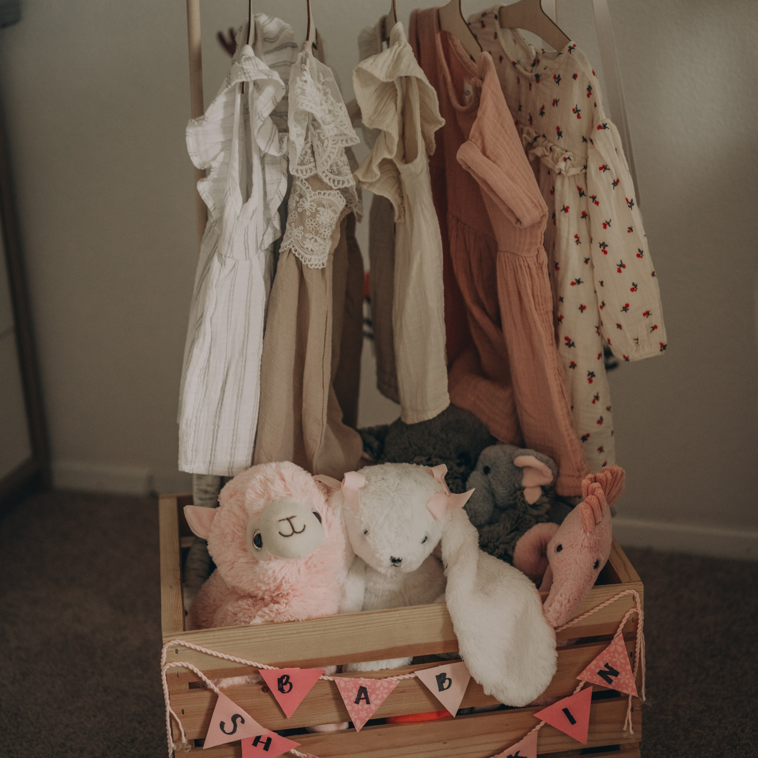 Reviews. Photographer