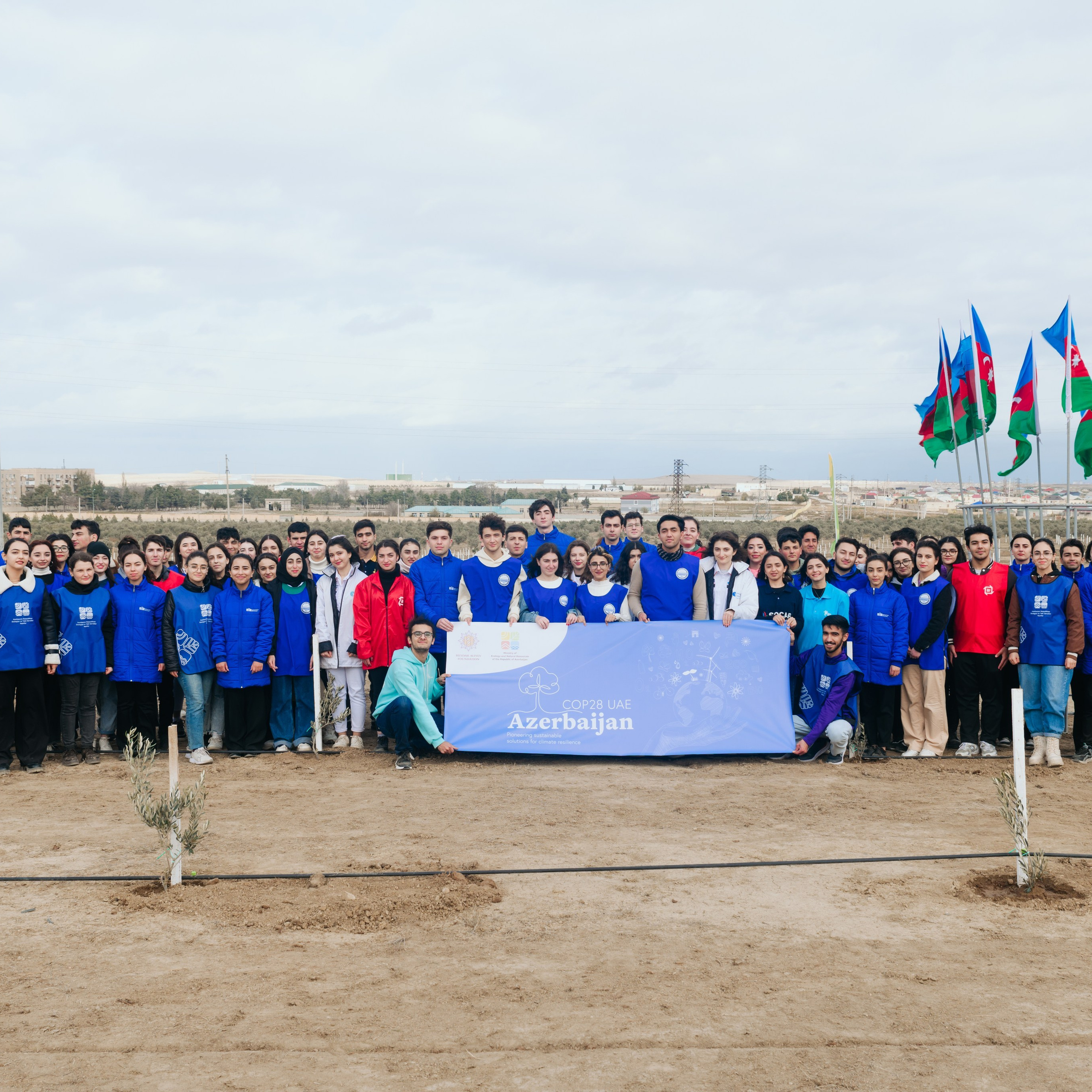 Отзывы. Alex Levi