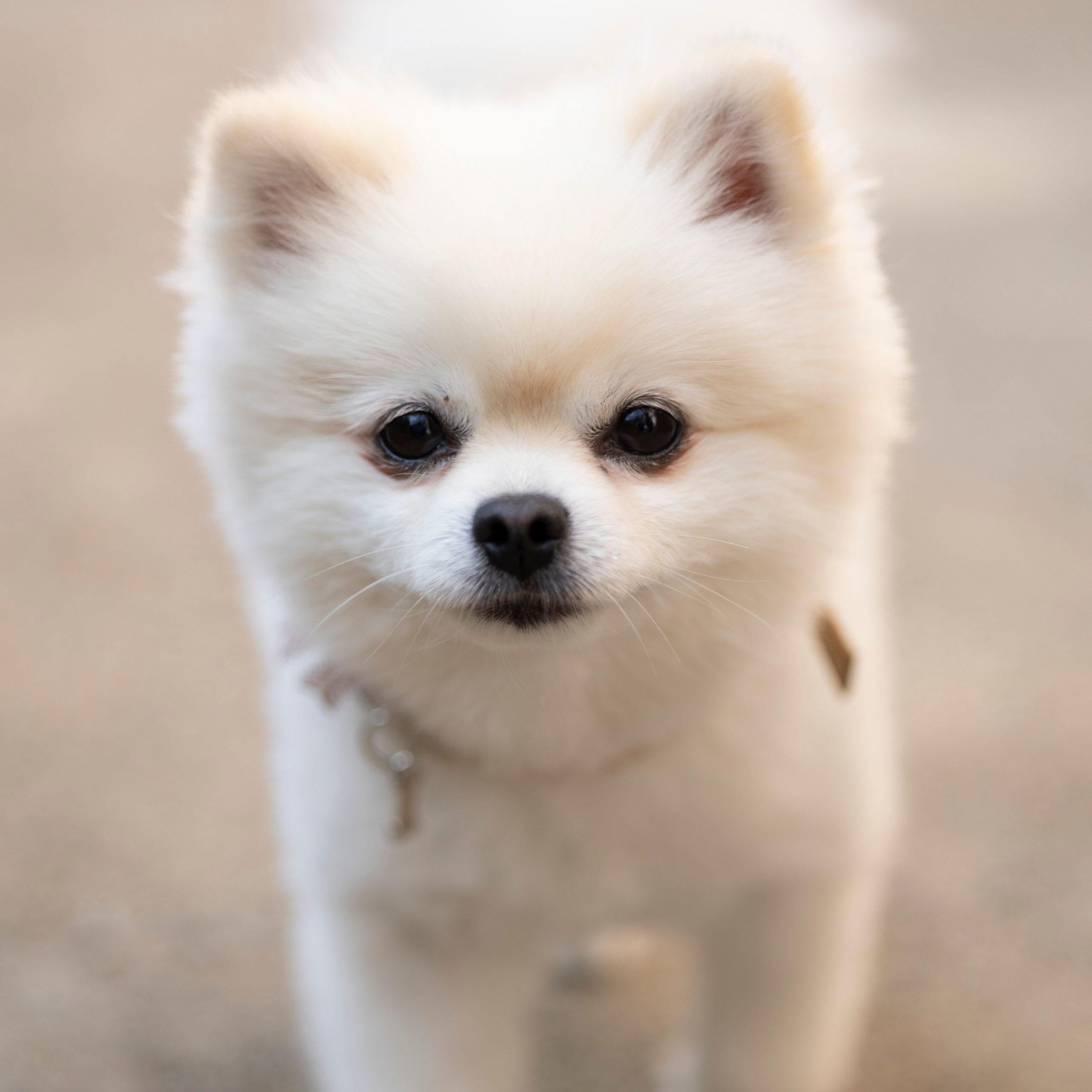 Comments and reviews. Photographer in Munich