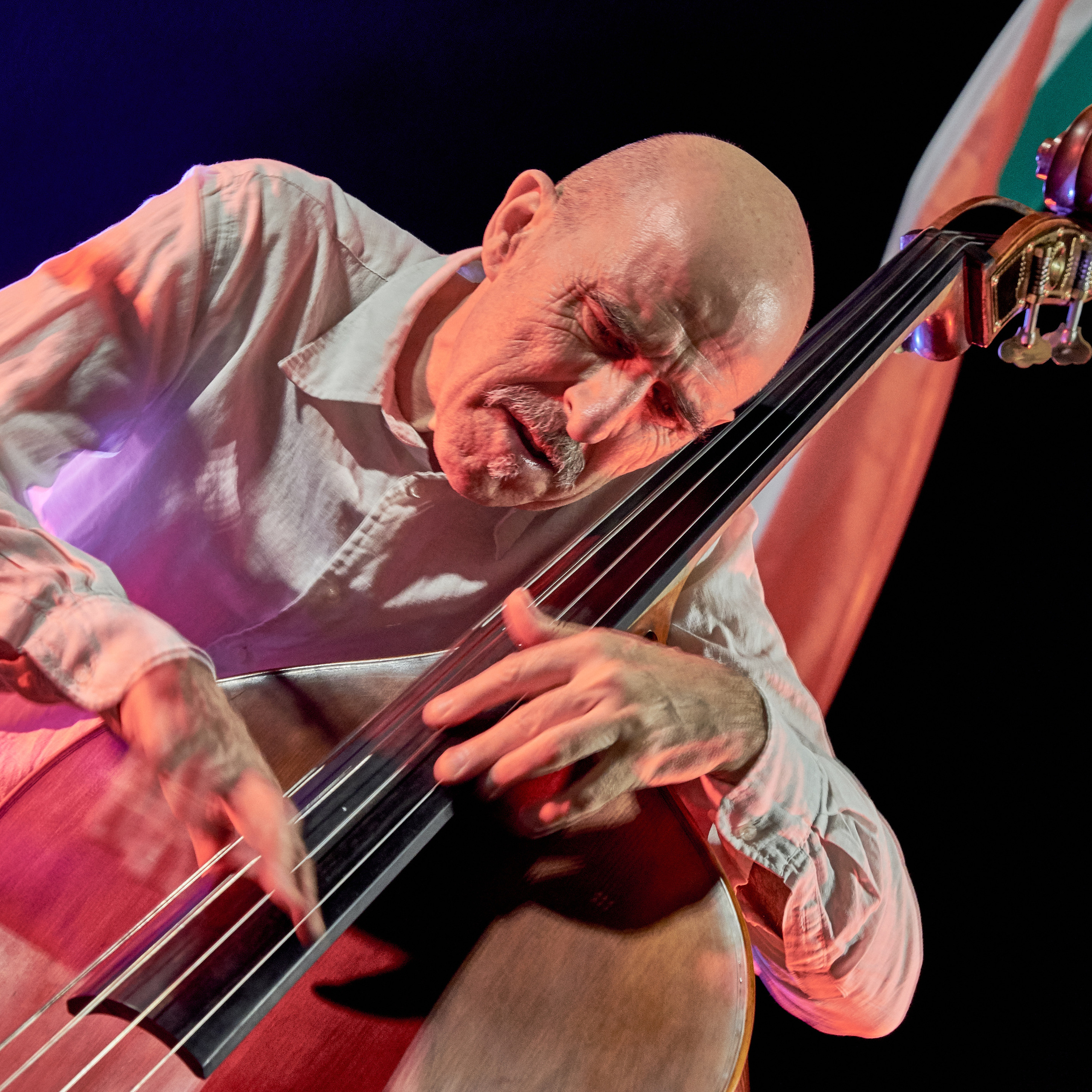 MUSIC SEA FESTIVAL of ITALY.